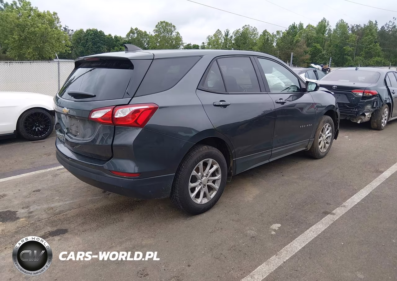 2019 Chevrolet Equinox Ls VIN:3GNAXHEV5KS503738 - 4