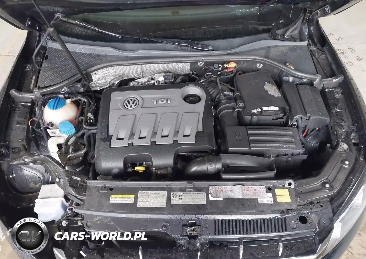 2014 Volkswagen Passat 2.0L Tdi Sel Premium VIN:1VWCN7A33EC042827 - 10