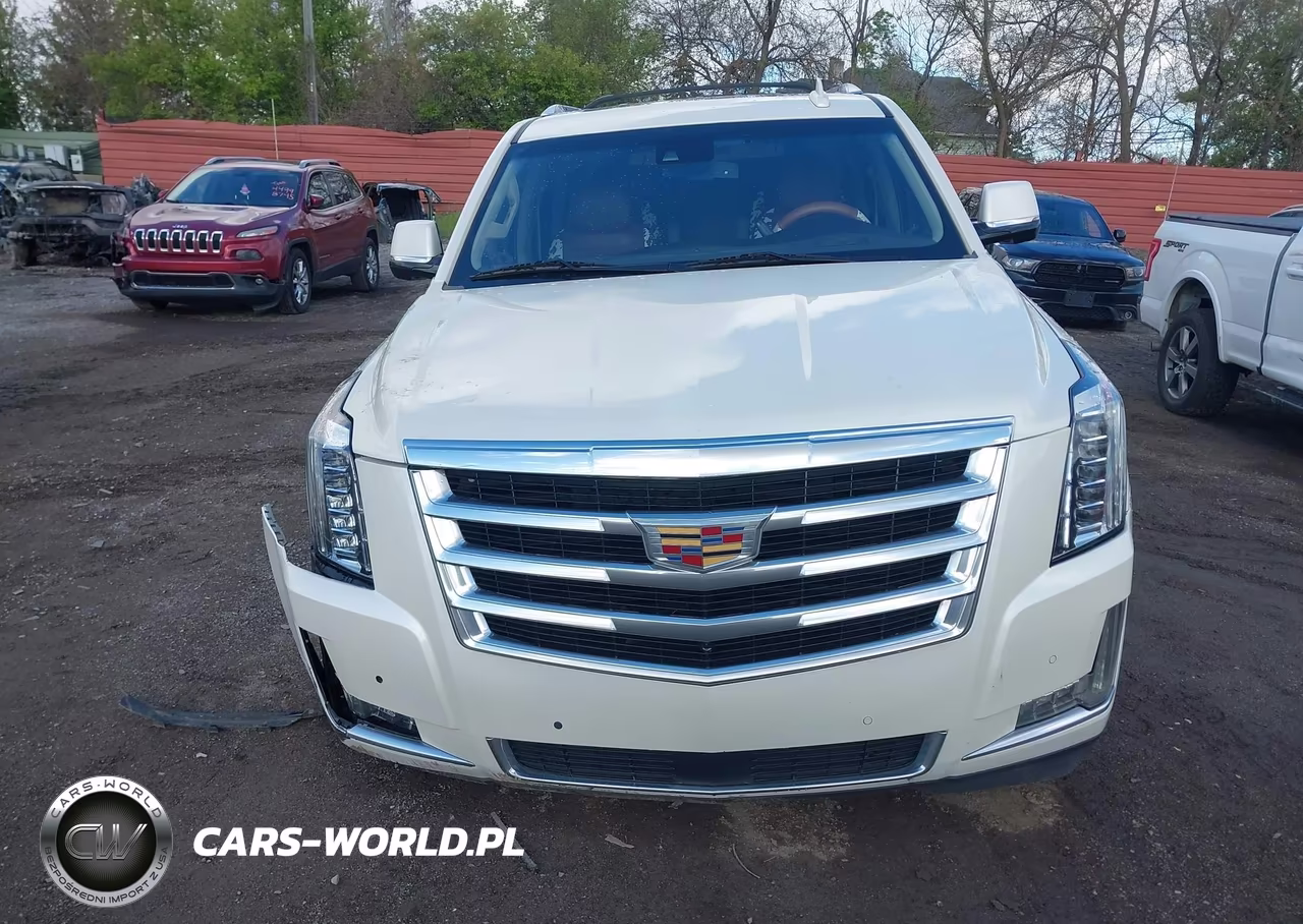 2015 Cadillac Escalade Esv Premium VIN:1GYS4TKJ2FR719835 - 12