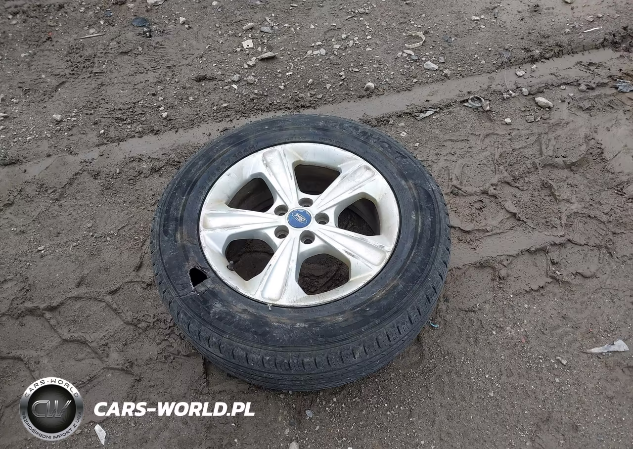 2013 Ford Escape Se VIN:1FMCU9GX0DUD00141 - 12