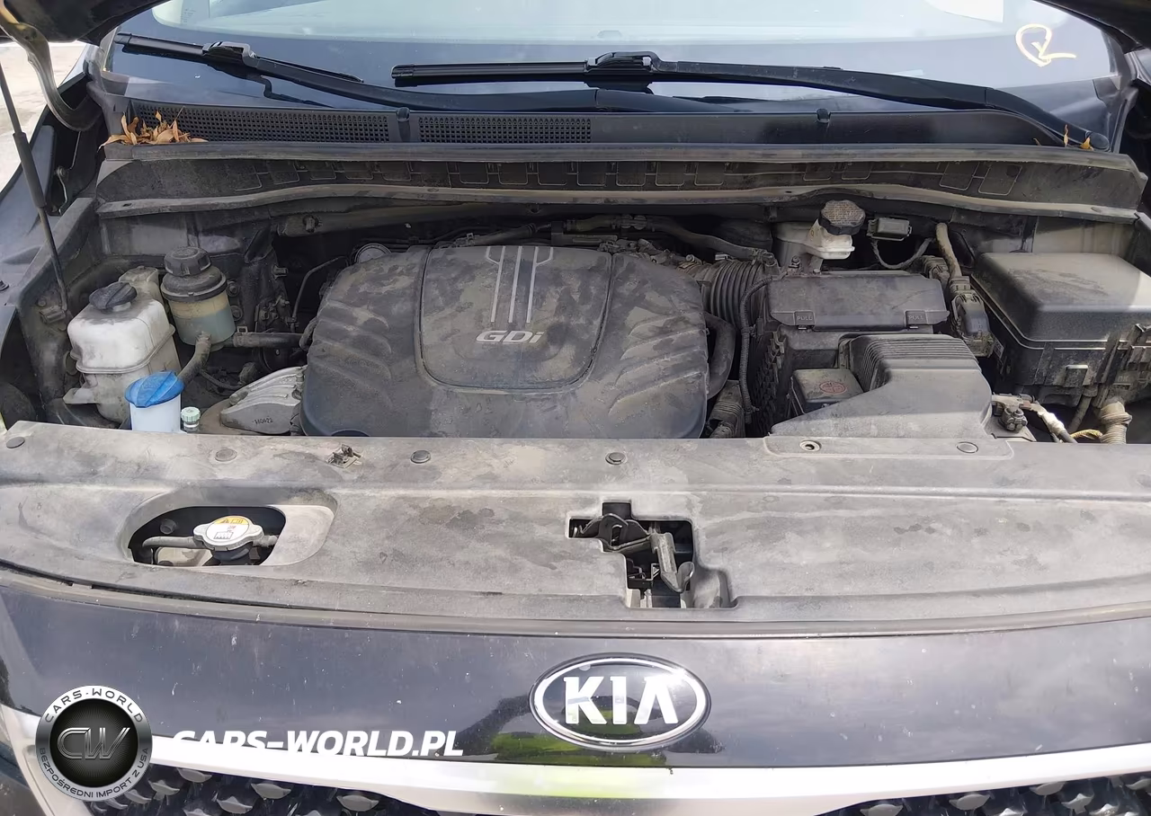 2017 Kia Sedona Lx VIN:KNDMB5C16H6253894 - 10