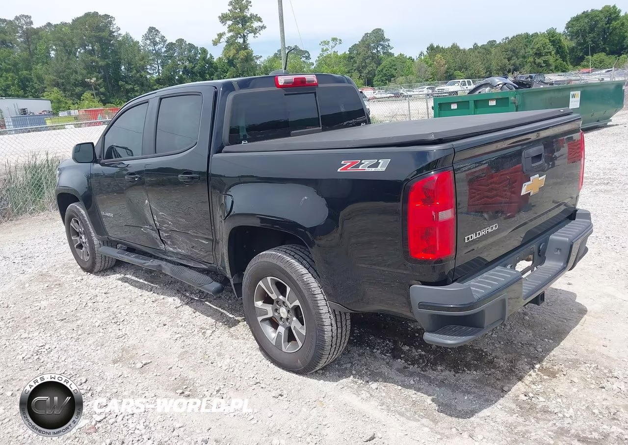 2016 Chevrolet Colorado Z71 VIN:1GCGTDE37G1120477 - 3