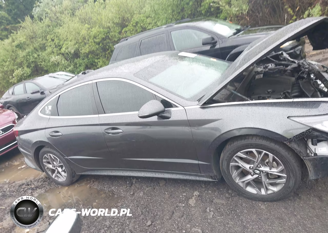 2020 Hyundai Sonata Sel VIN:5NPEL4JAXLH036202 - 14