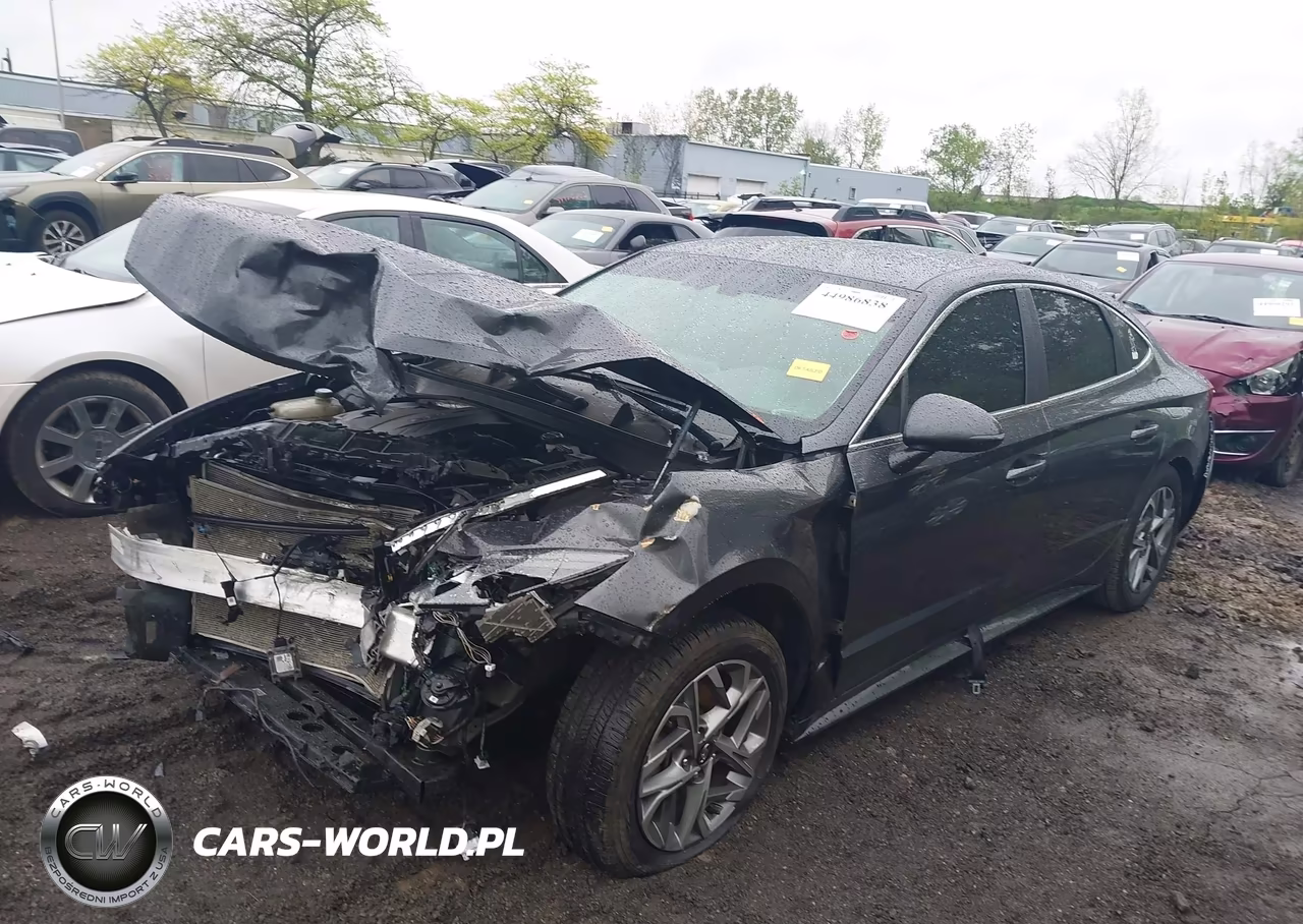 2020 Hyundai Sonata Sel VIN:5NPEL4JAXLH036202 - 2