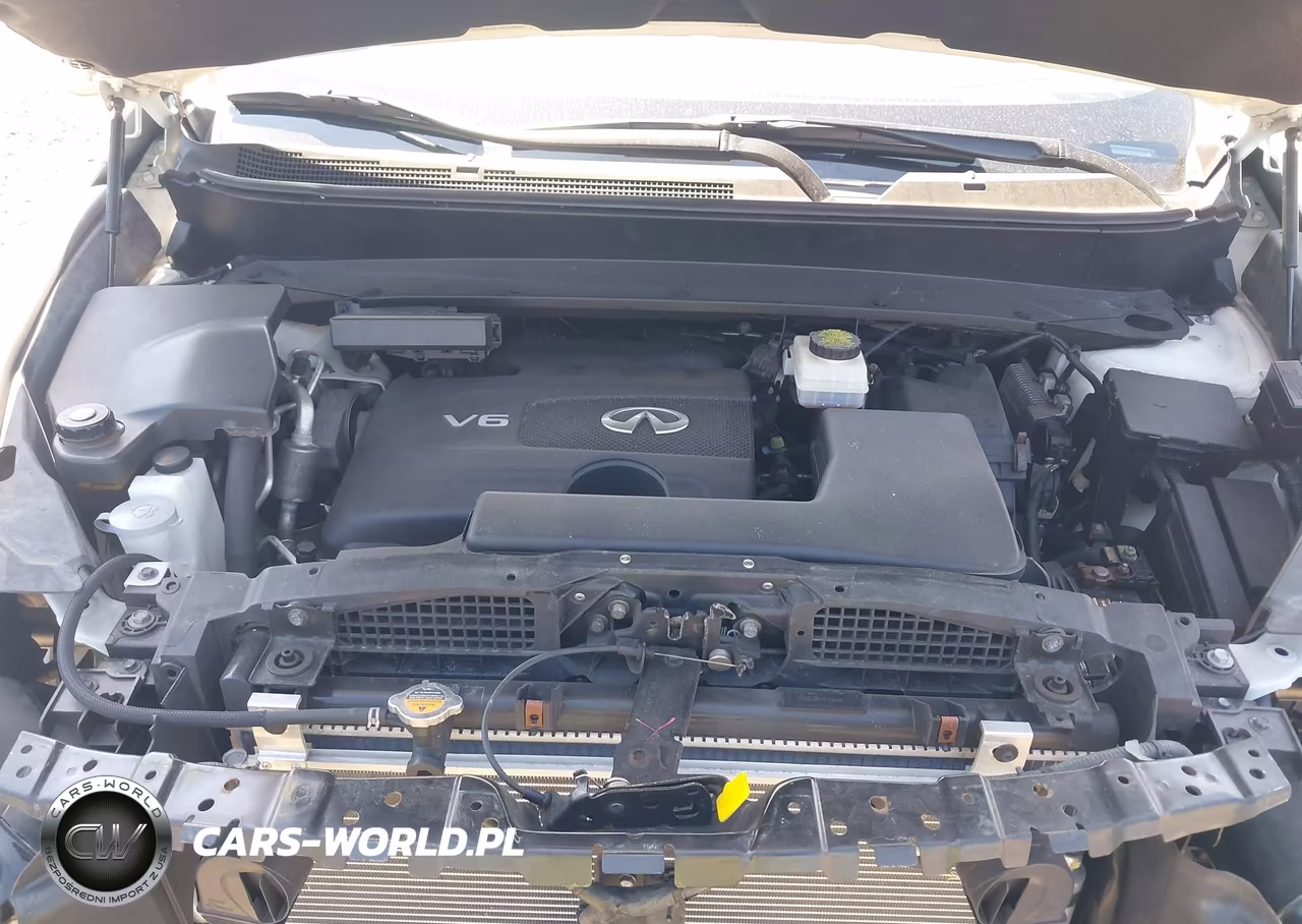 2019 Infiniti Qx60 Luxe VIN:5N1DL0MM7KC502572 - 10