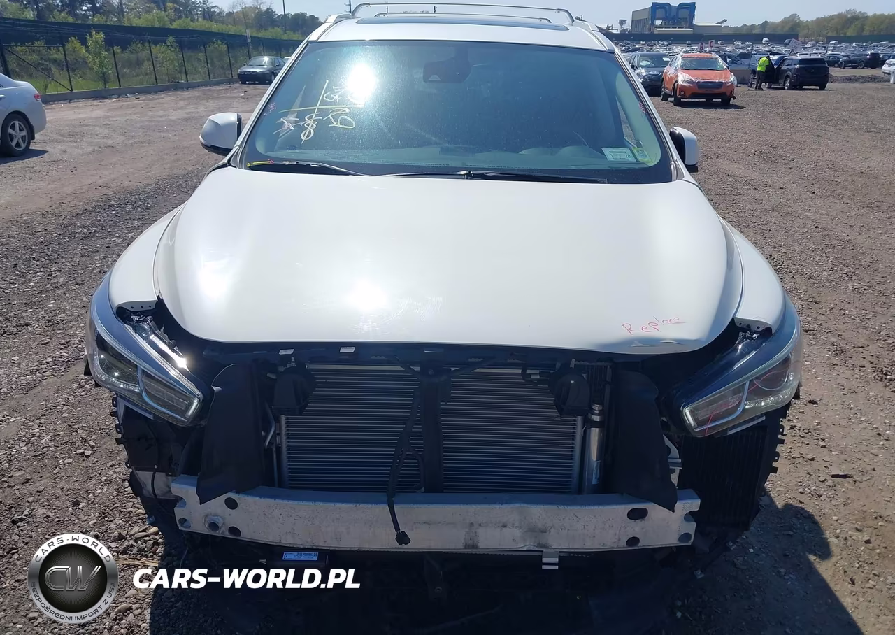 2019 Infiniti Qx60 Luxe VIN:5N1DL0MM7KC502572 - 12