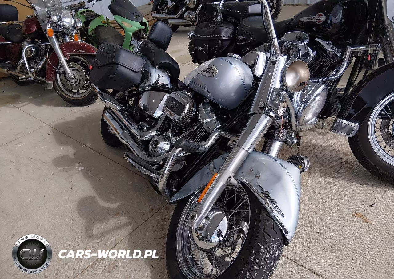 2023 Harley-Davidson Flhcs