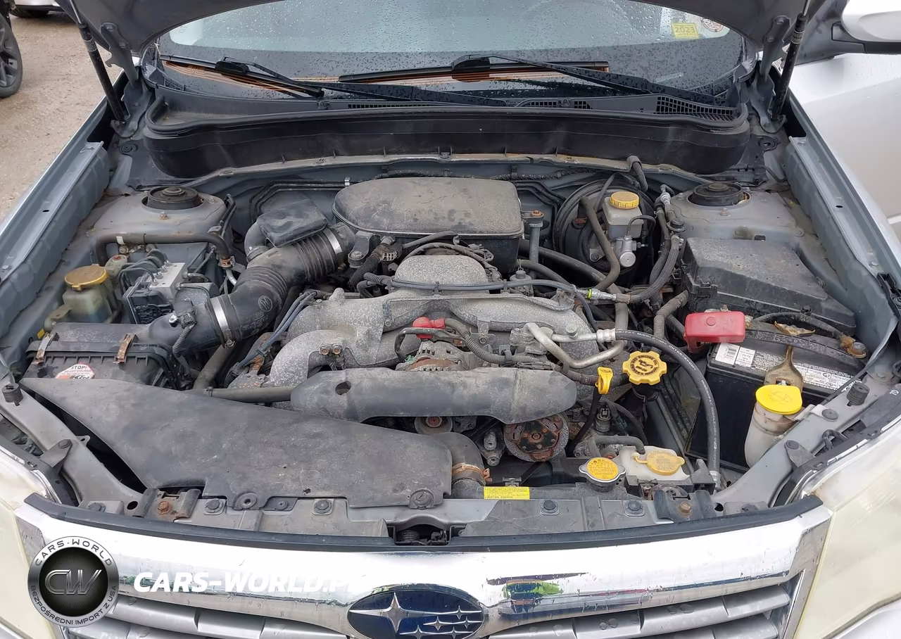 2010 Subaru Forester 2.5X Premium VIN:JF2SH6CC0AH738136 - 10