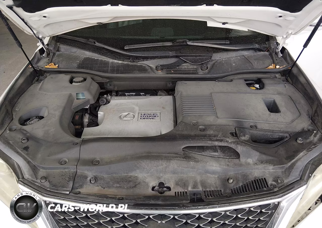 2013 Lexus Rx 450H VIN:JTJBC1BA6D2446852 - 10