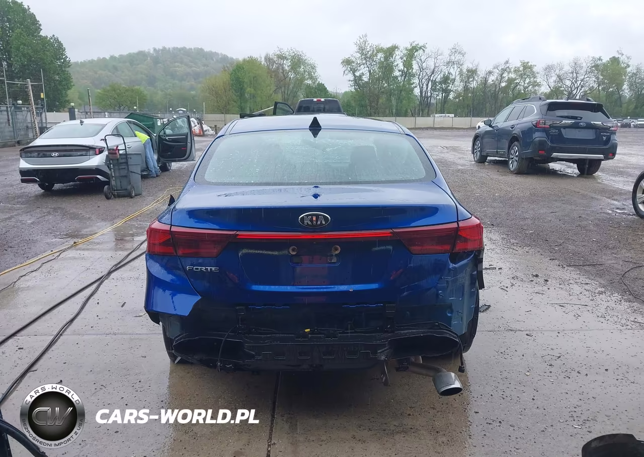 2019 Kia Forte Lxs VIN:3KPF24AD3KE076609 - 17