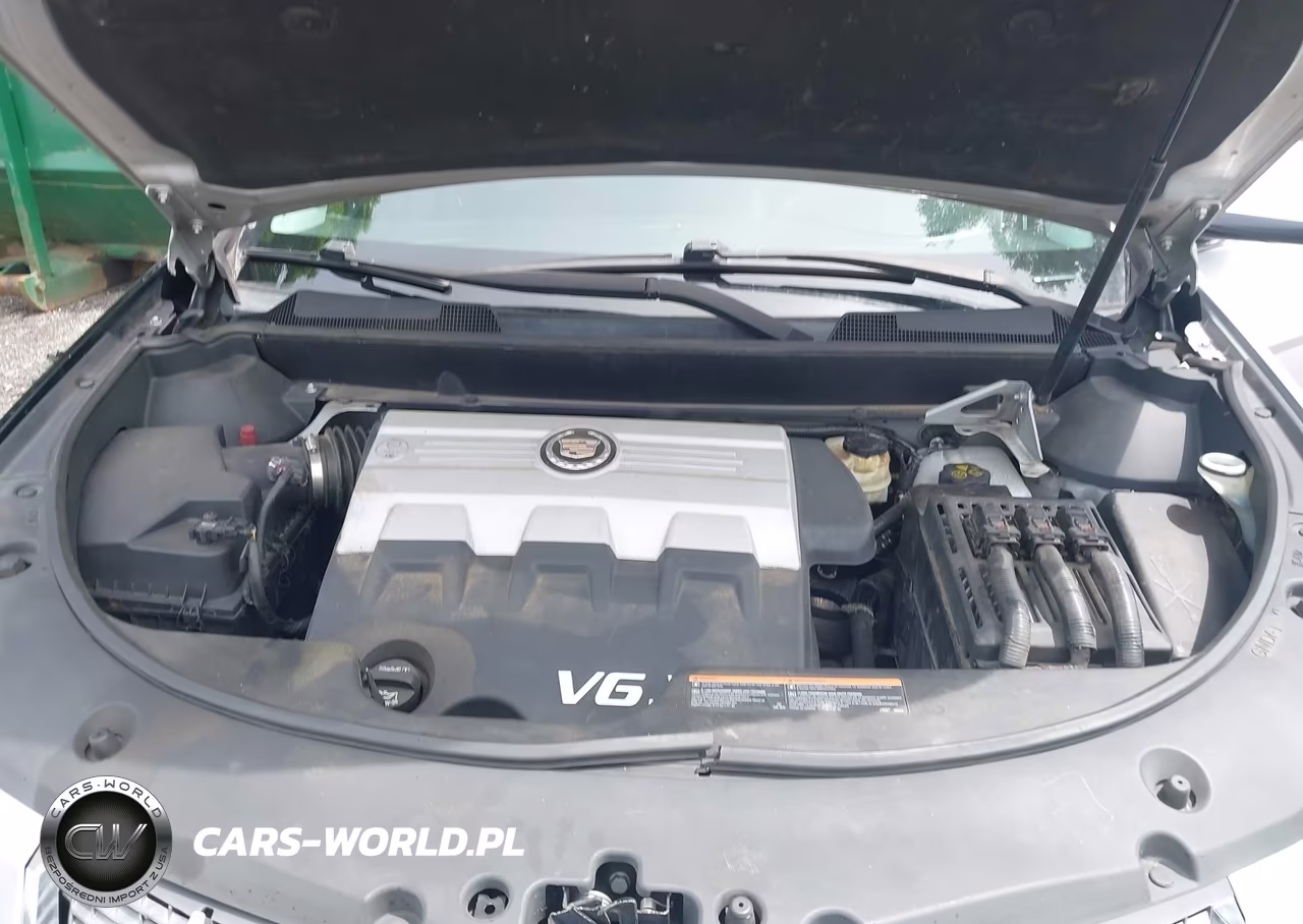 2010 Cadillac Srx Standard VIN:3GYFNGEY9AS534329 - 10