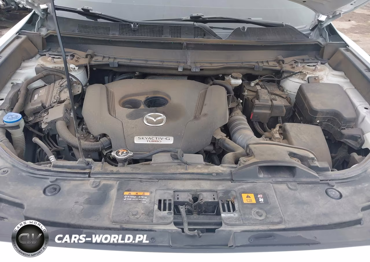 2022 Mazda Cx-9 Grand Touring VIN:JM3TCBDY2N0612182 - 10