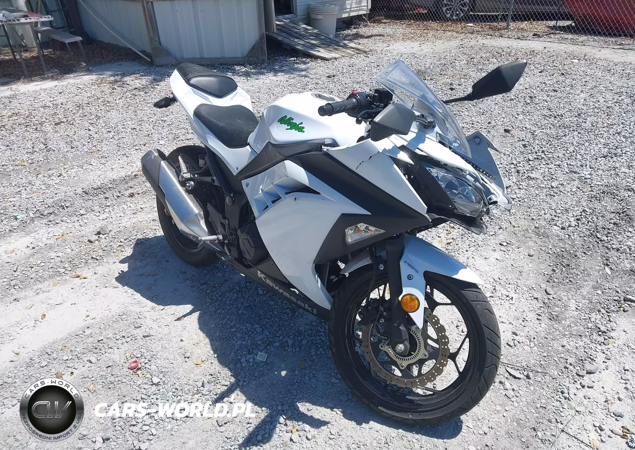 2015 Kawasaki Ex300 B