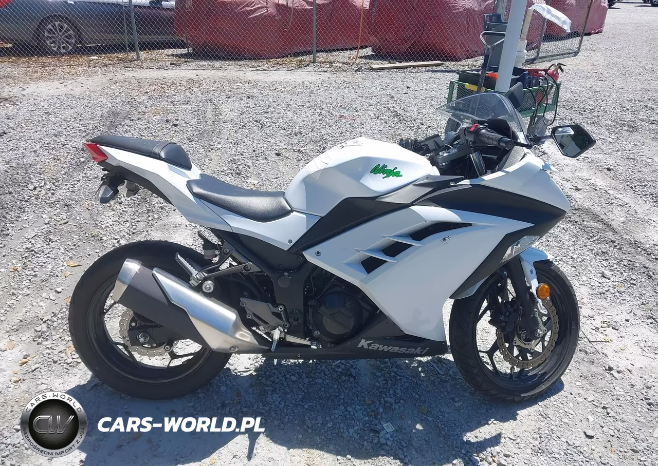 2015 Kawasaki Ex300 B VIN:JKAEX8B17FDA21318 - 11