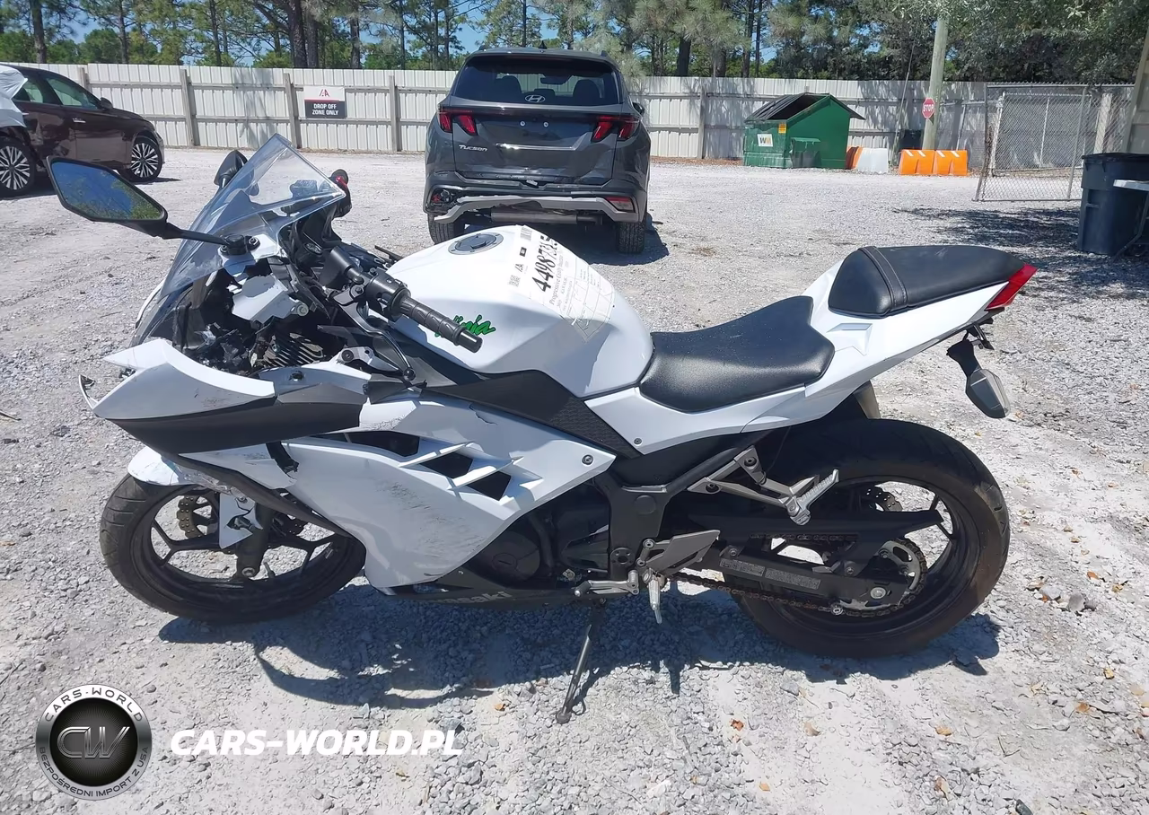 2015 Kawasaki Ex300 B VIN:JKAEX8B17FDA21318 - 12