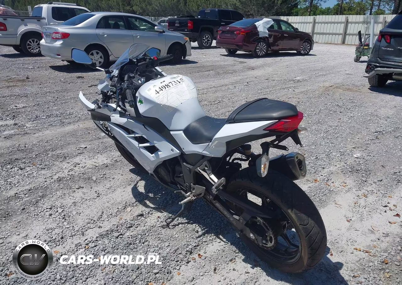 2015 Kawasaki Ex300 B VIN:JKAEX8B17FDA21318 - 3