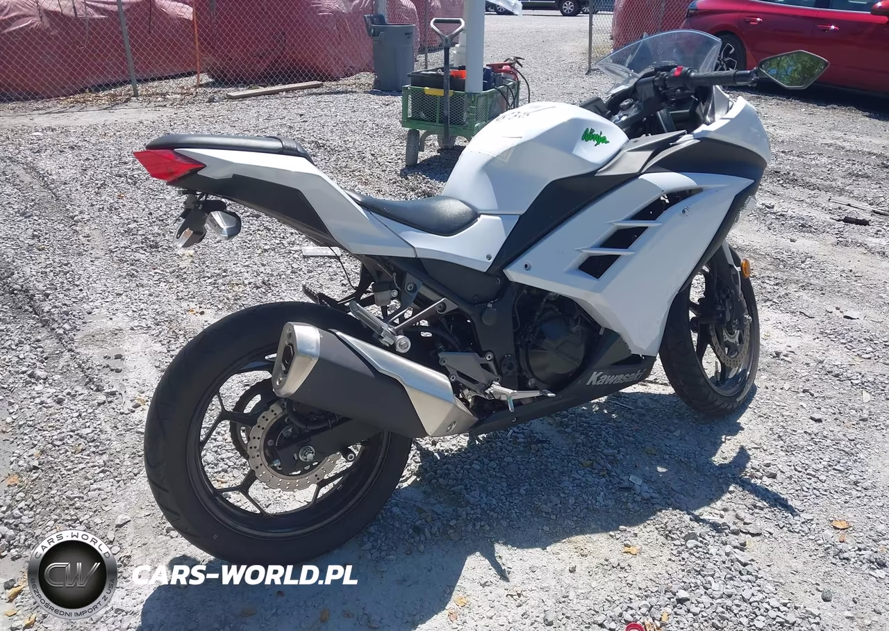 2015 Kawasaki Ex300 B VIN:JKAEX8B17FDA21318 - 4