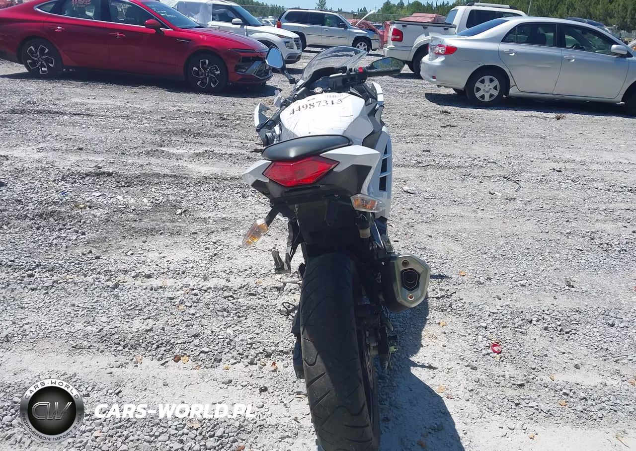 2015 Kawasaki Ex300 B VIN:JKAEX8B17FDA21318 - 6