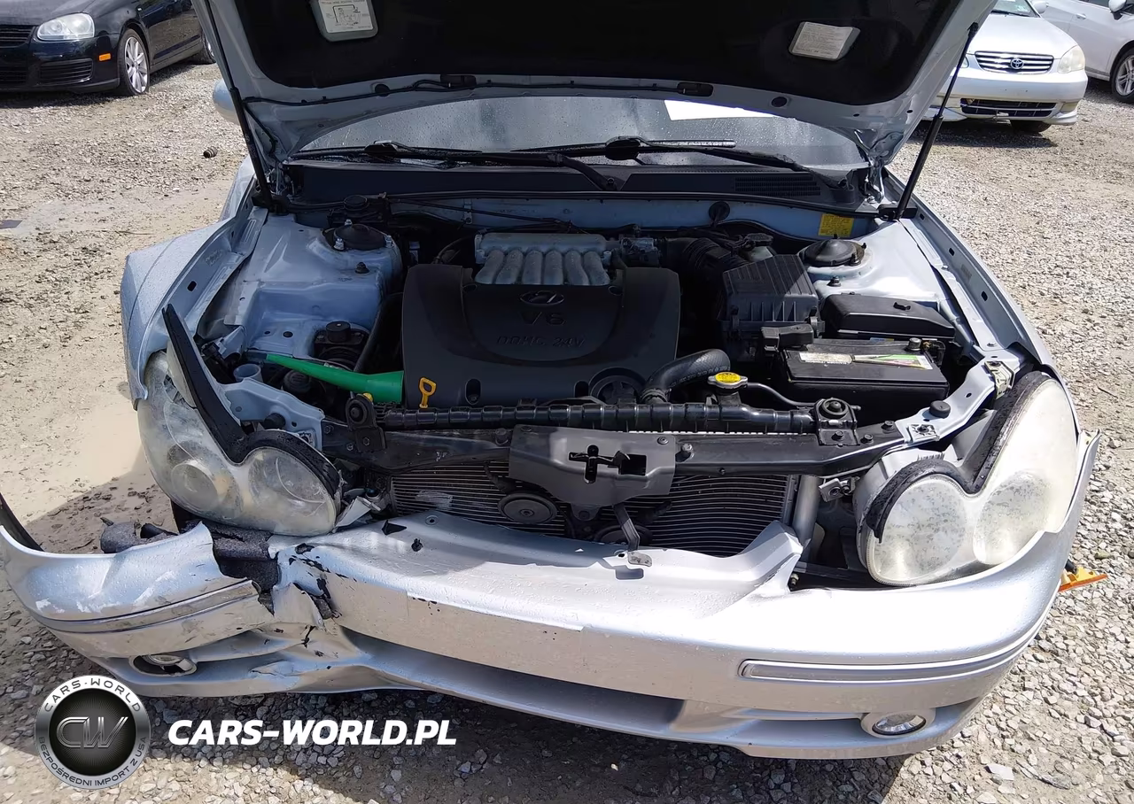 2005 Hyundai Sonata Gls-Lx VIN:KMHWF35H95A176809 - 10