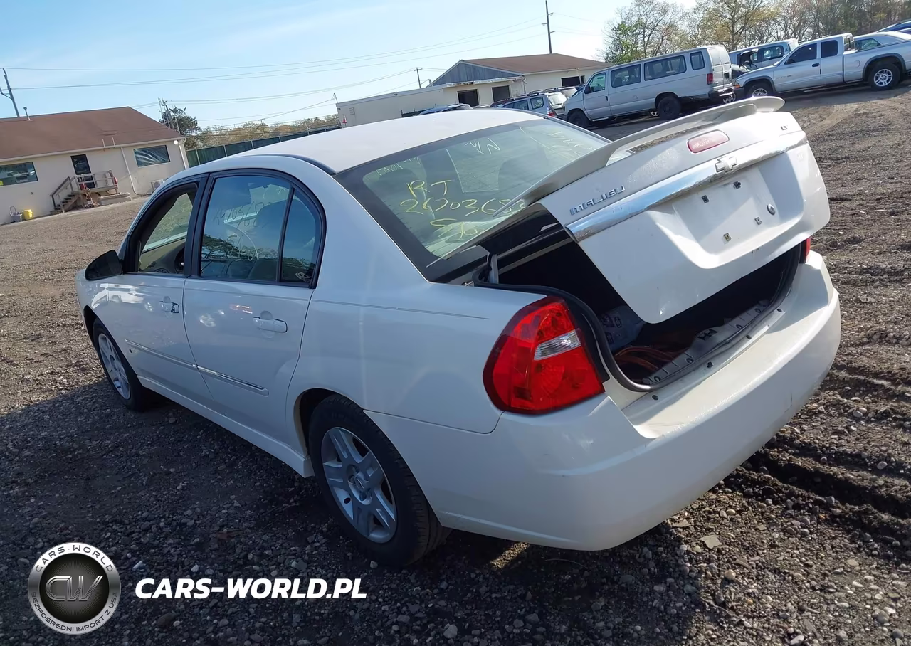 2006 Chevrolet Malibu Lt VIN:1G1ZT51896F242316 - 3