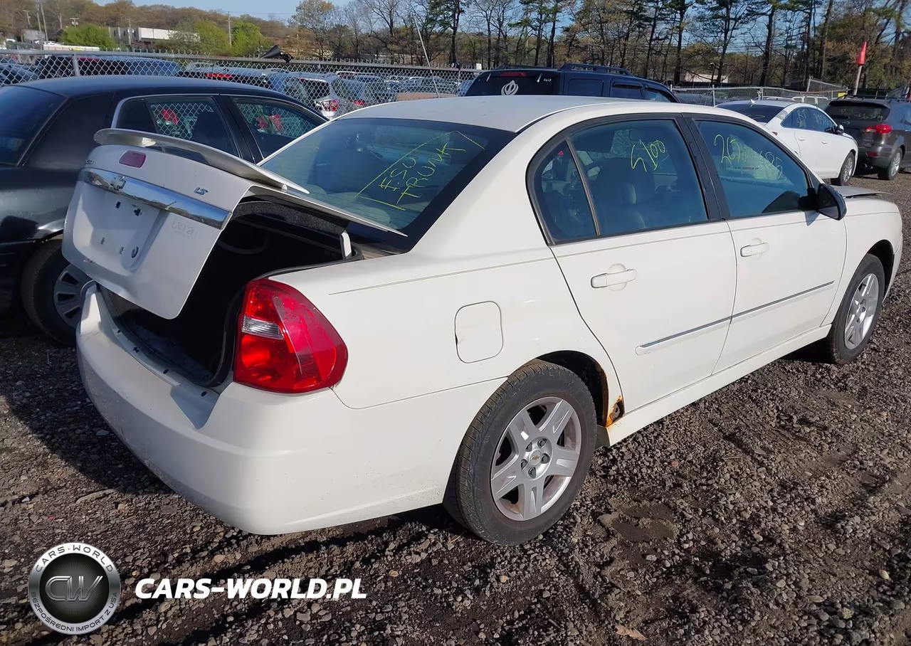 2006 Chevrolet Malibu Lt VIN:1G1ZT51896F242316 - 4