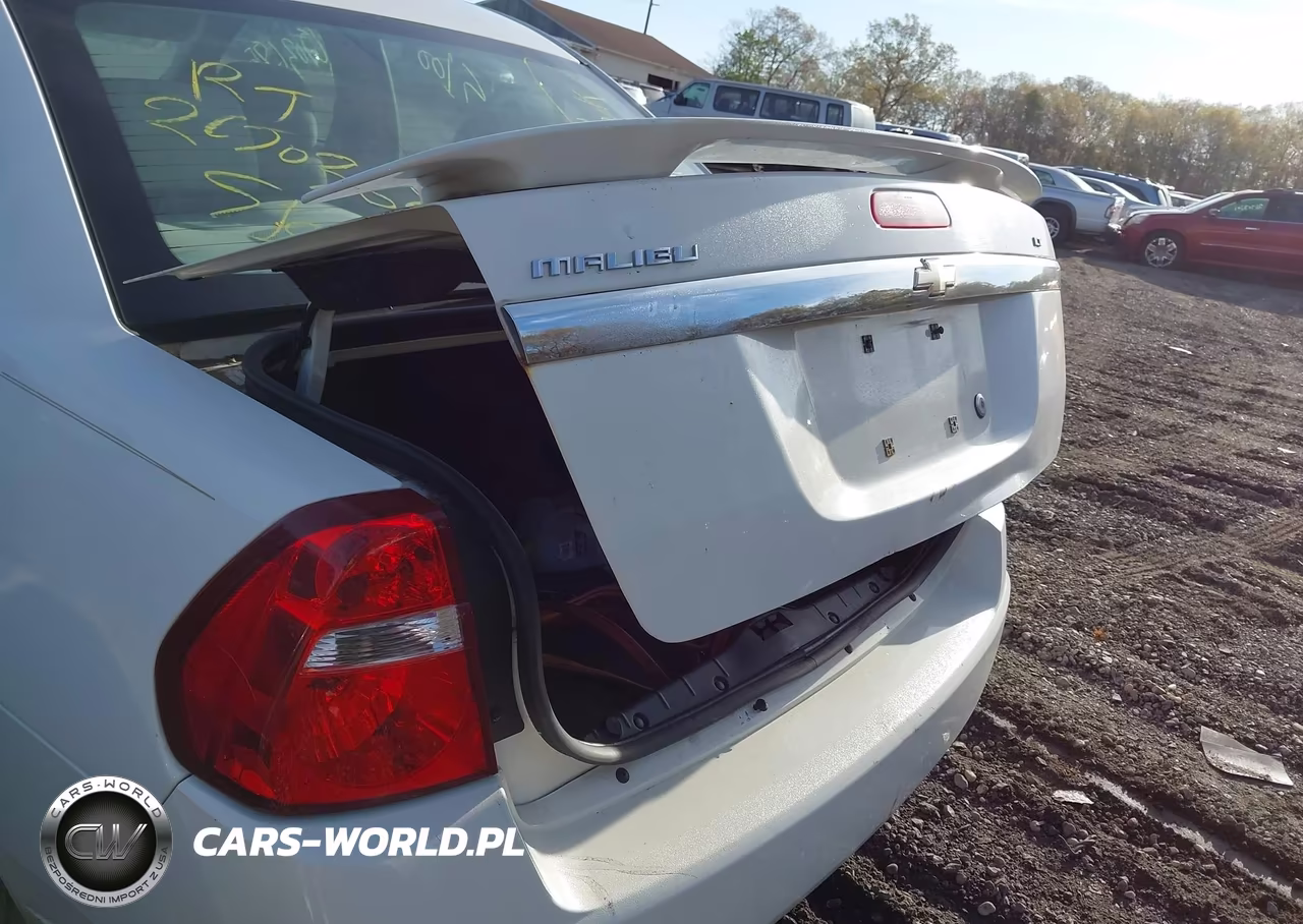 2006 Chevrolet Malibu Lt VIN:1G1ZT51896F242316 - 6