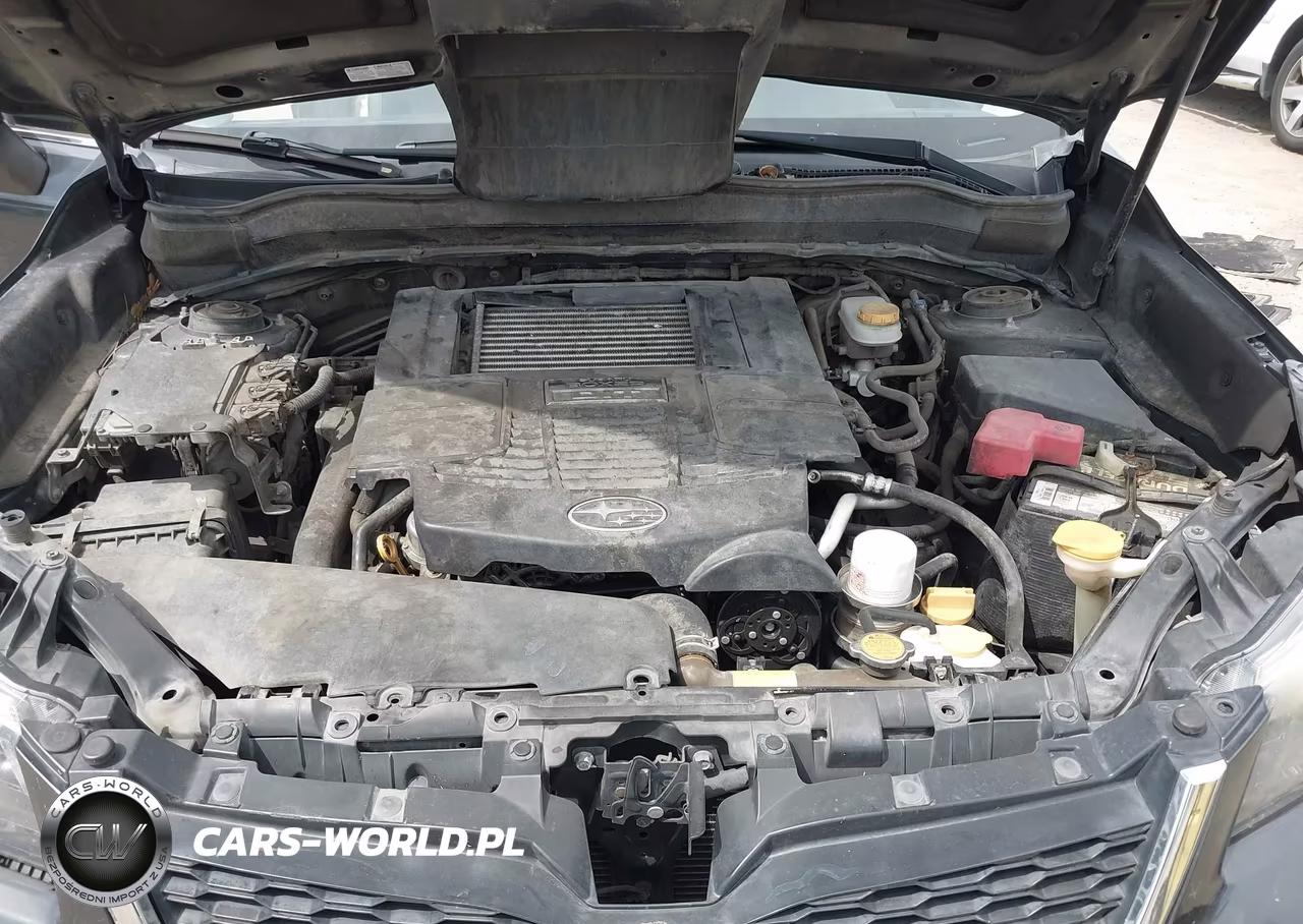 2016 Subaru Forester 2.0Xt Premium VIN:JF2SJGDC3GH455893 - 10