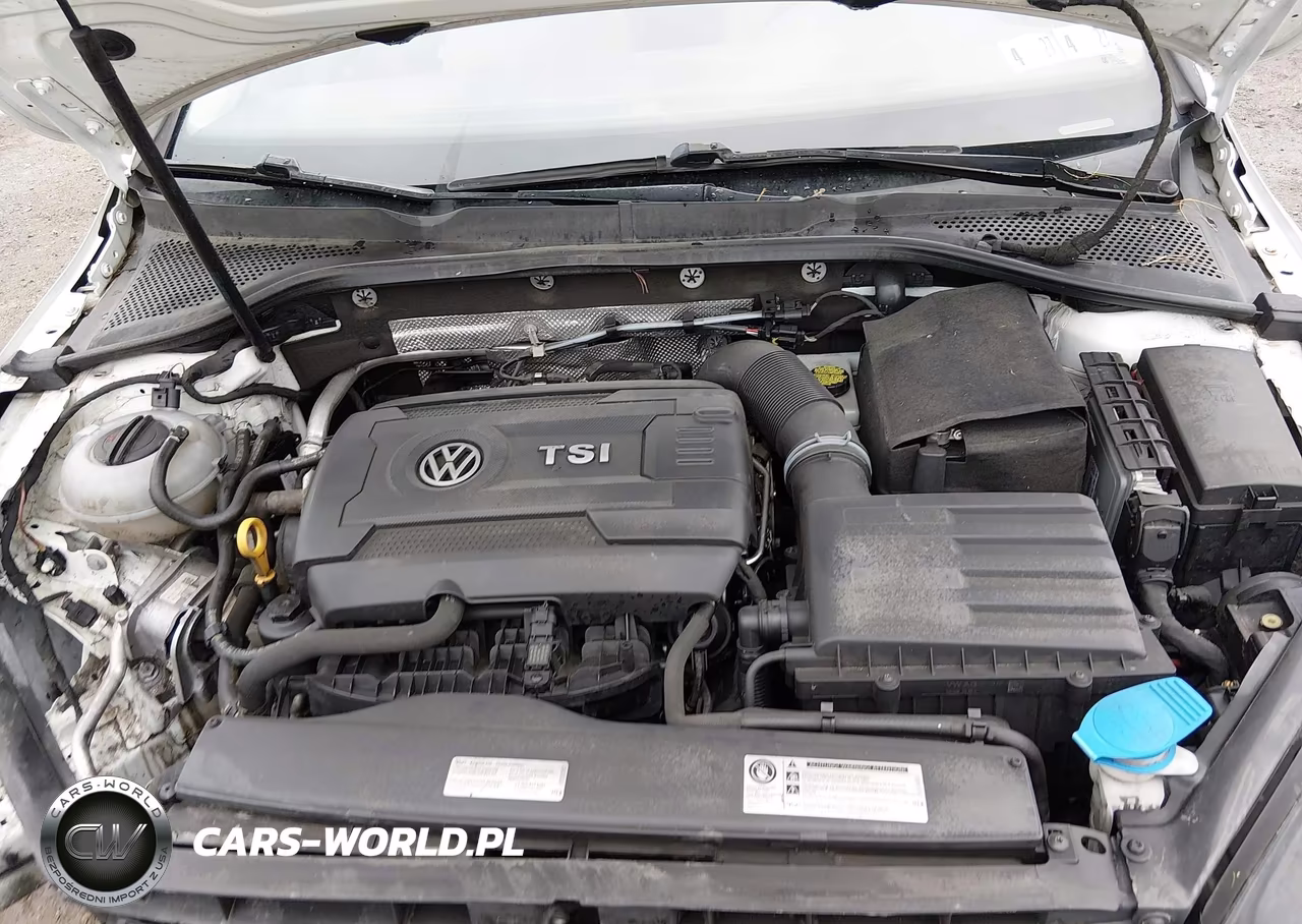 2017 Volkswagen Golf Sportwagen Tsi S VIN:3VWC17AU0HM501268 - 10