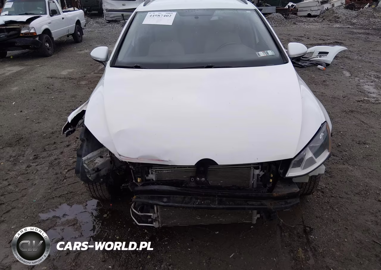 2017 Volkswagen Golf Sportwagen Tsi S VIN:3VWC17AU0HM501268 - 6