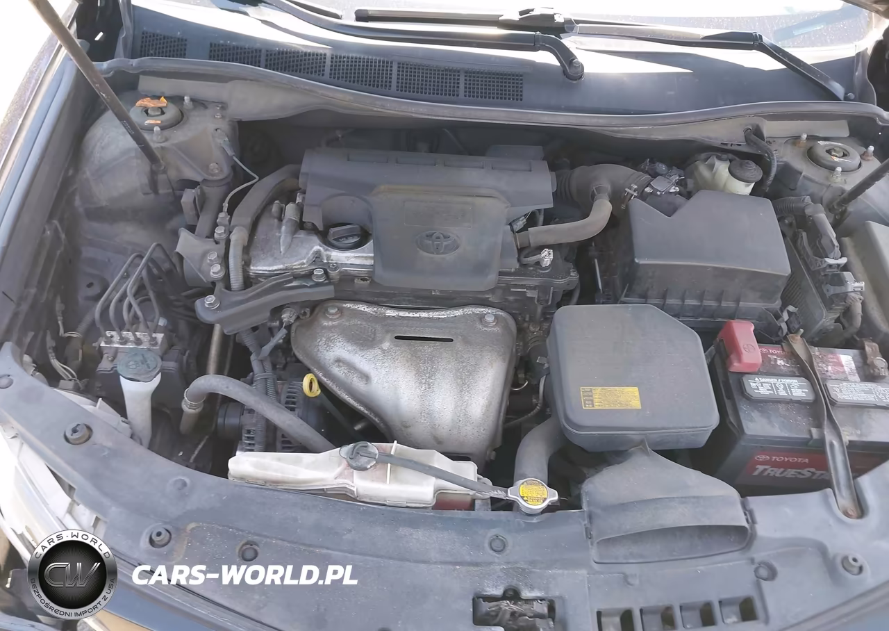 2014 Toyota Camry Se VIN:4T1BF1FK2EU832991 - 10