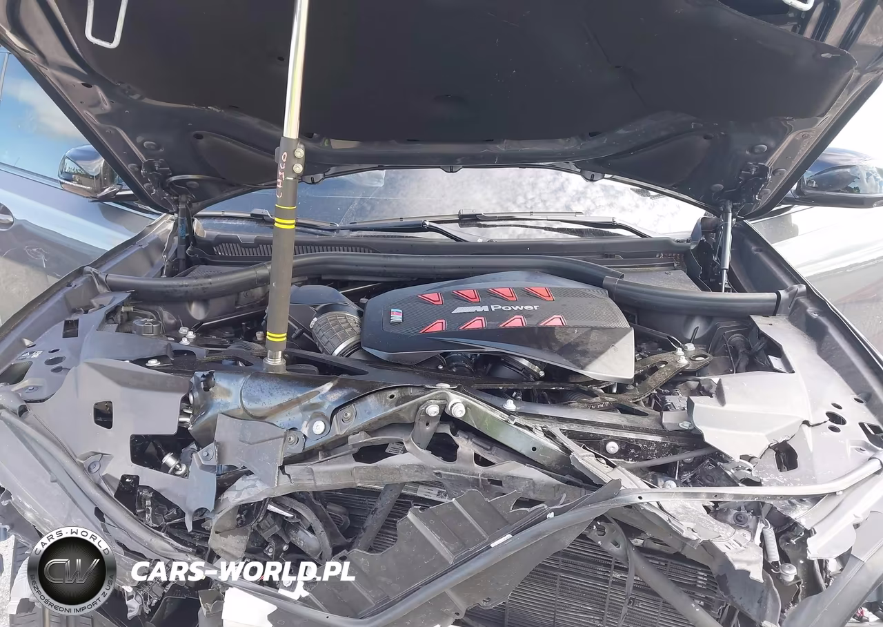 2025 BMW X6 M VIN:5YM23ET06S9X13483 - 10