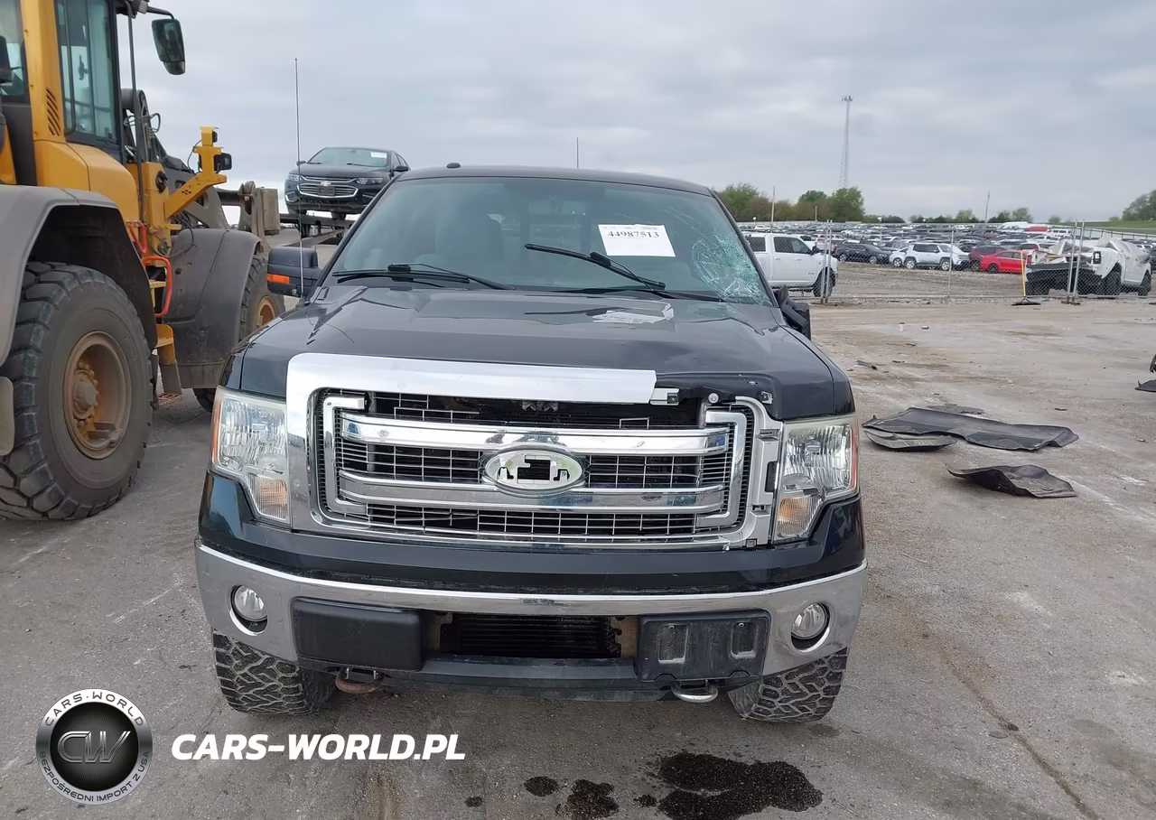 2013 Ford F-150 Xlt VIN:1FTFW1ET0DKE50842 - 13
