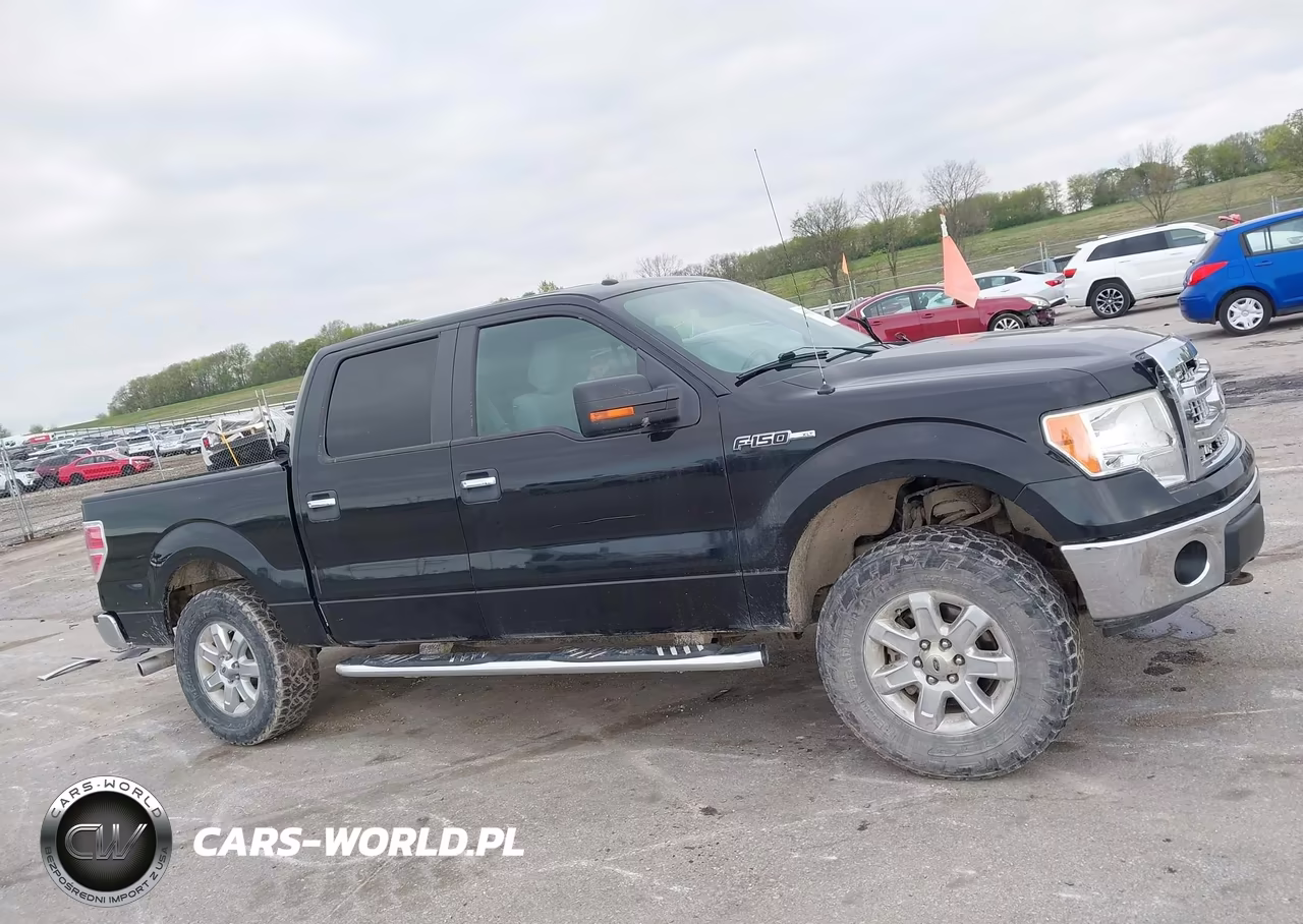 2013 Ford F-150 Xlt VIN:1FTFW1ET0DKE50842 - 14