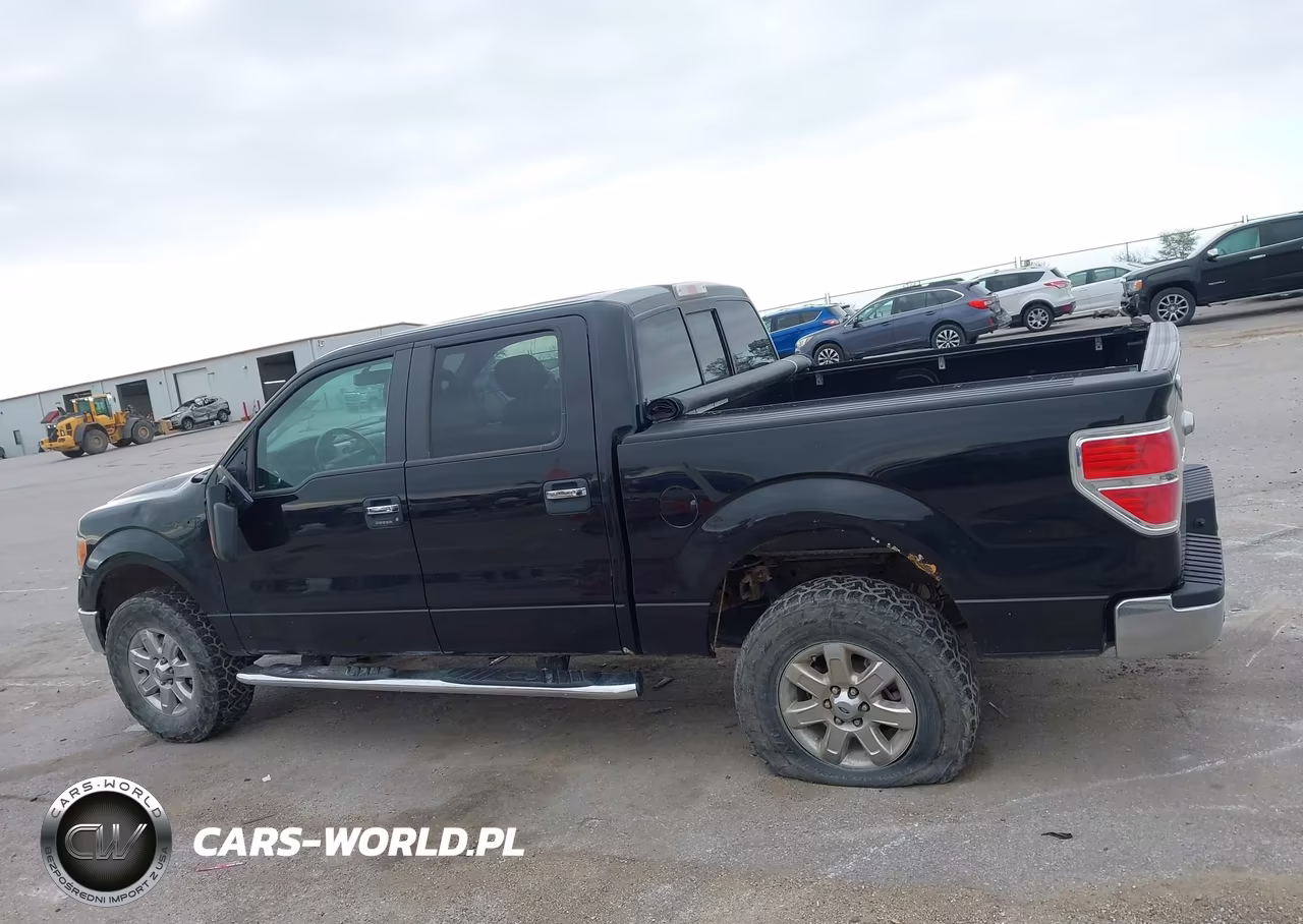 2013 Ford F-150 Xlt VIN:1FTFW1ET0DKE50842 - 15