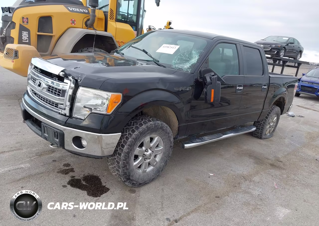 2013 Ford F-150 Xlt VIN:1FTFW1ET0DKE50842 - 2