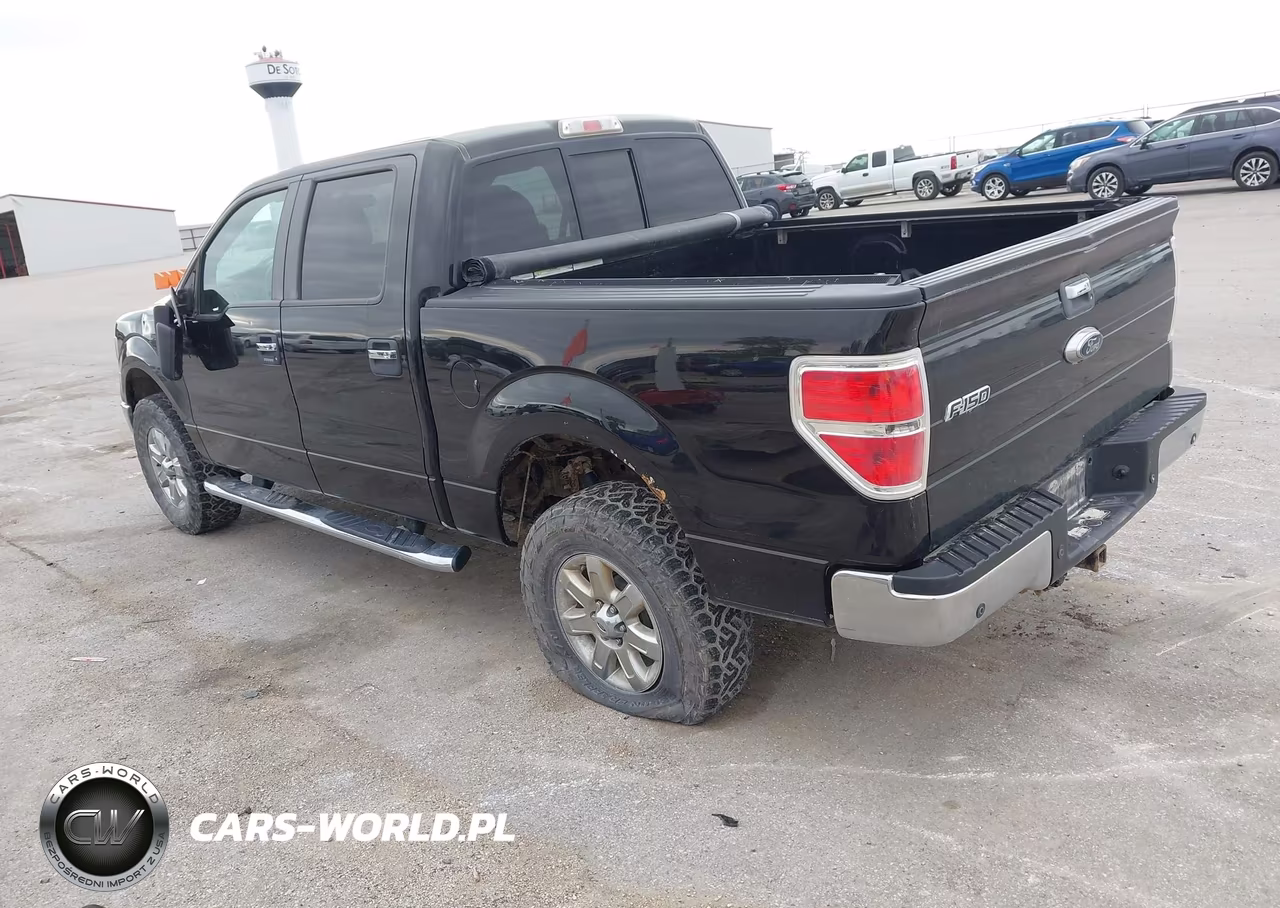 2013 Ford F-150 Xlt VIN:1FTFW1ET0DKE50842 - 3