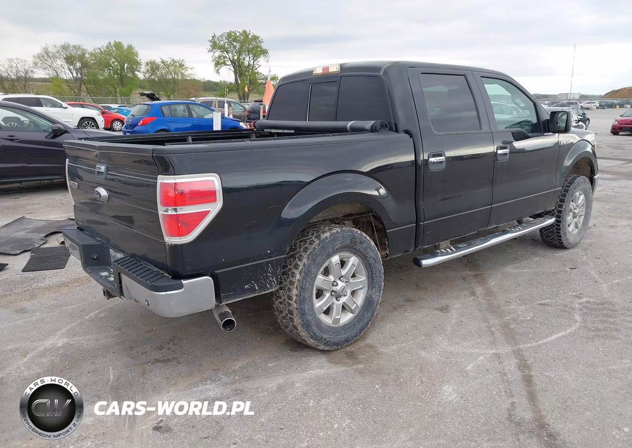 2013 Ford F-150 Xlt VIN:1FTFW1ET0DKE50842 - 4