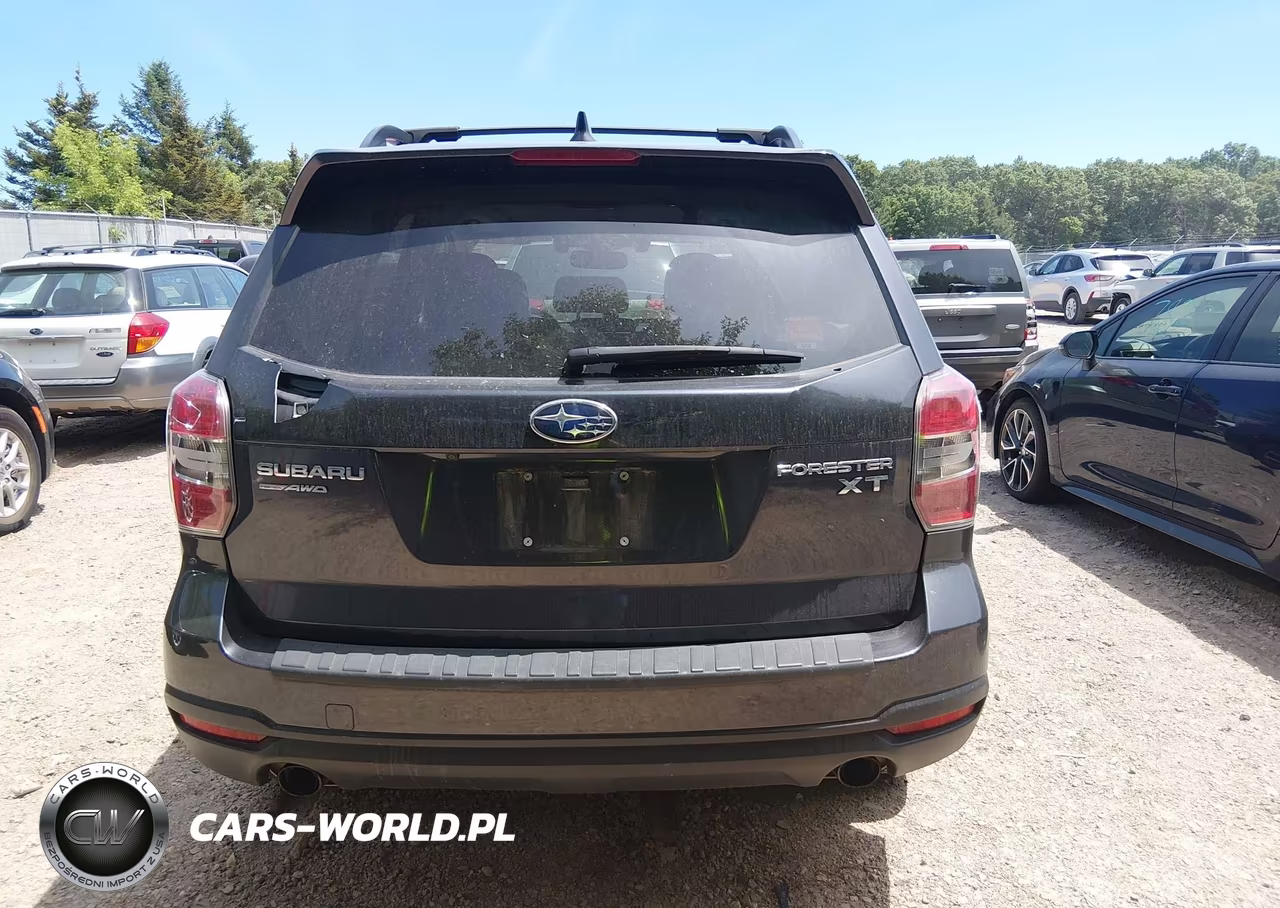2016 Subaru Forester 2.0Xt Touring VIN:JF2SJGXC1GH410463 - 16