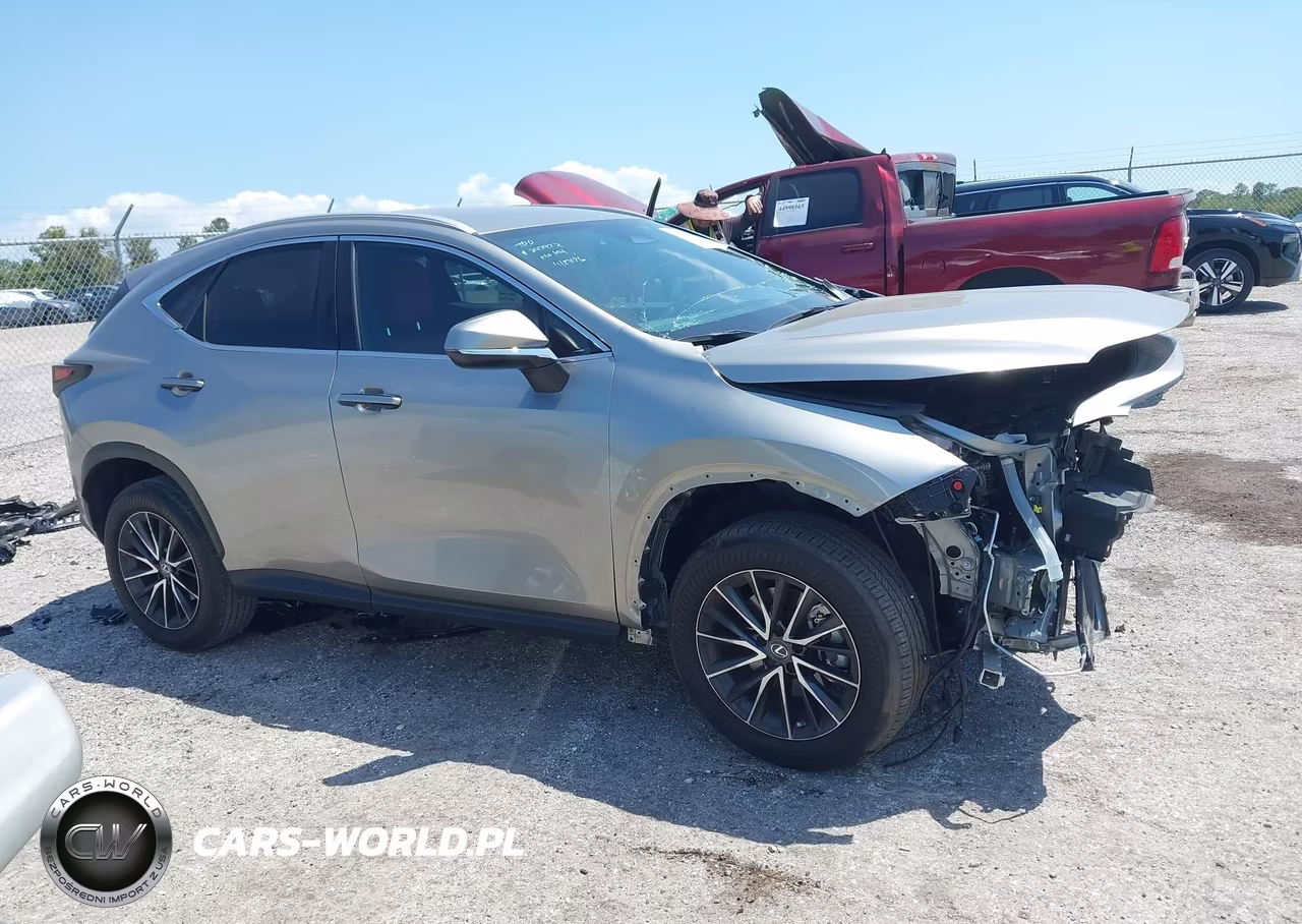 2023 Lexus Nx 250 VIN:2T2ADCAZXPC005001 - 13