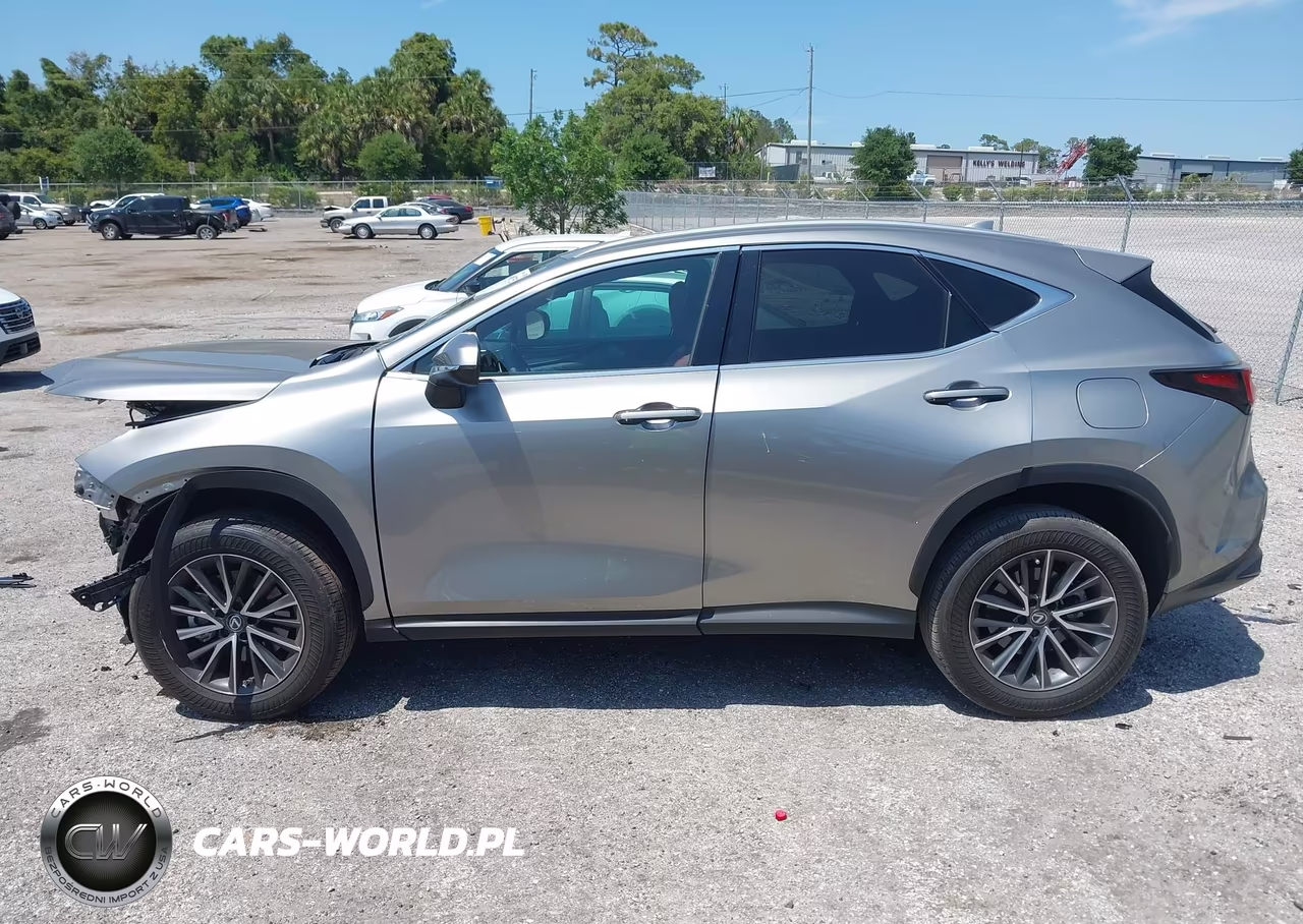 2023 Lexus Nx 250 VIN:2T2ADCAZXPC005001 - 14