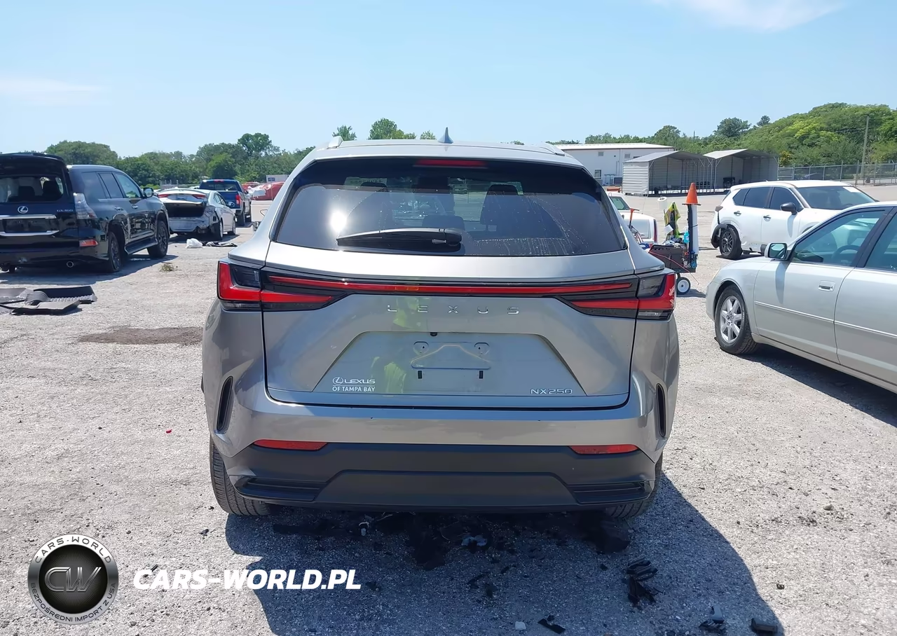 2023 Lexus Nx 250 VIN:2T2ADCAZXPC005001 - 16