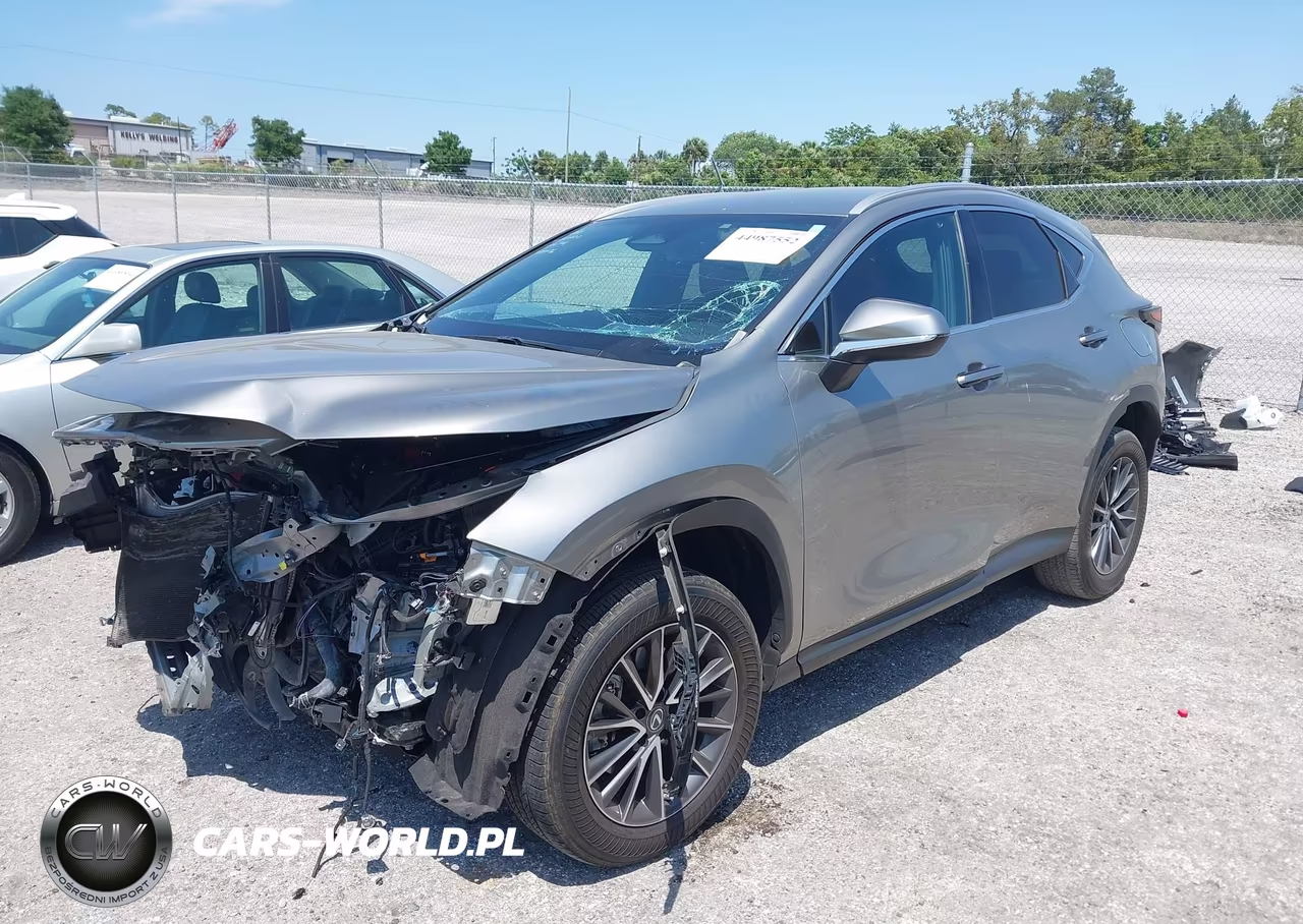 2023 Lexus Nx 250 VIN:2T2ADCAZXPC005001 - 2