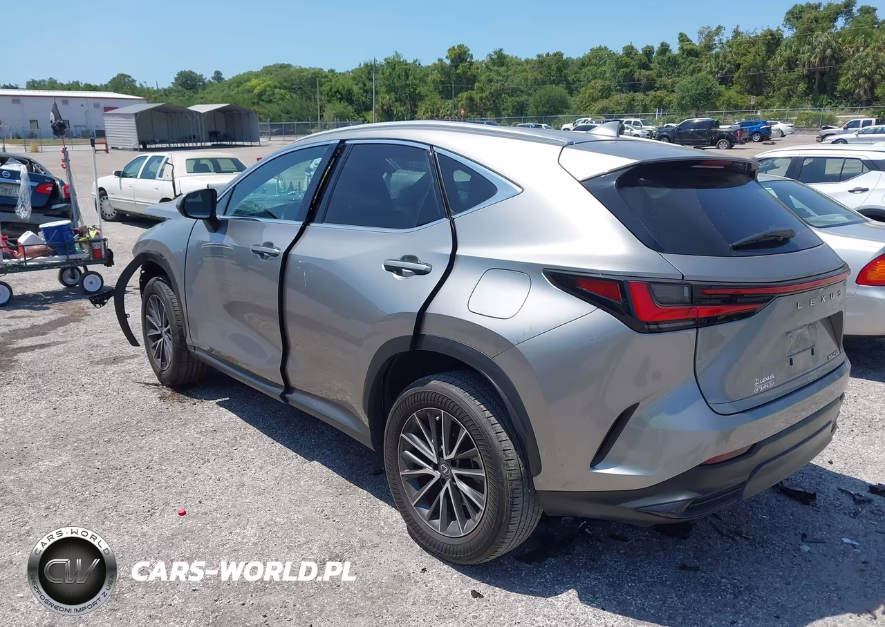 2023 Lexus Nx 250 VIN:2T2ADCAZXPC005001 - 3