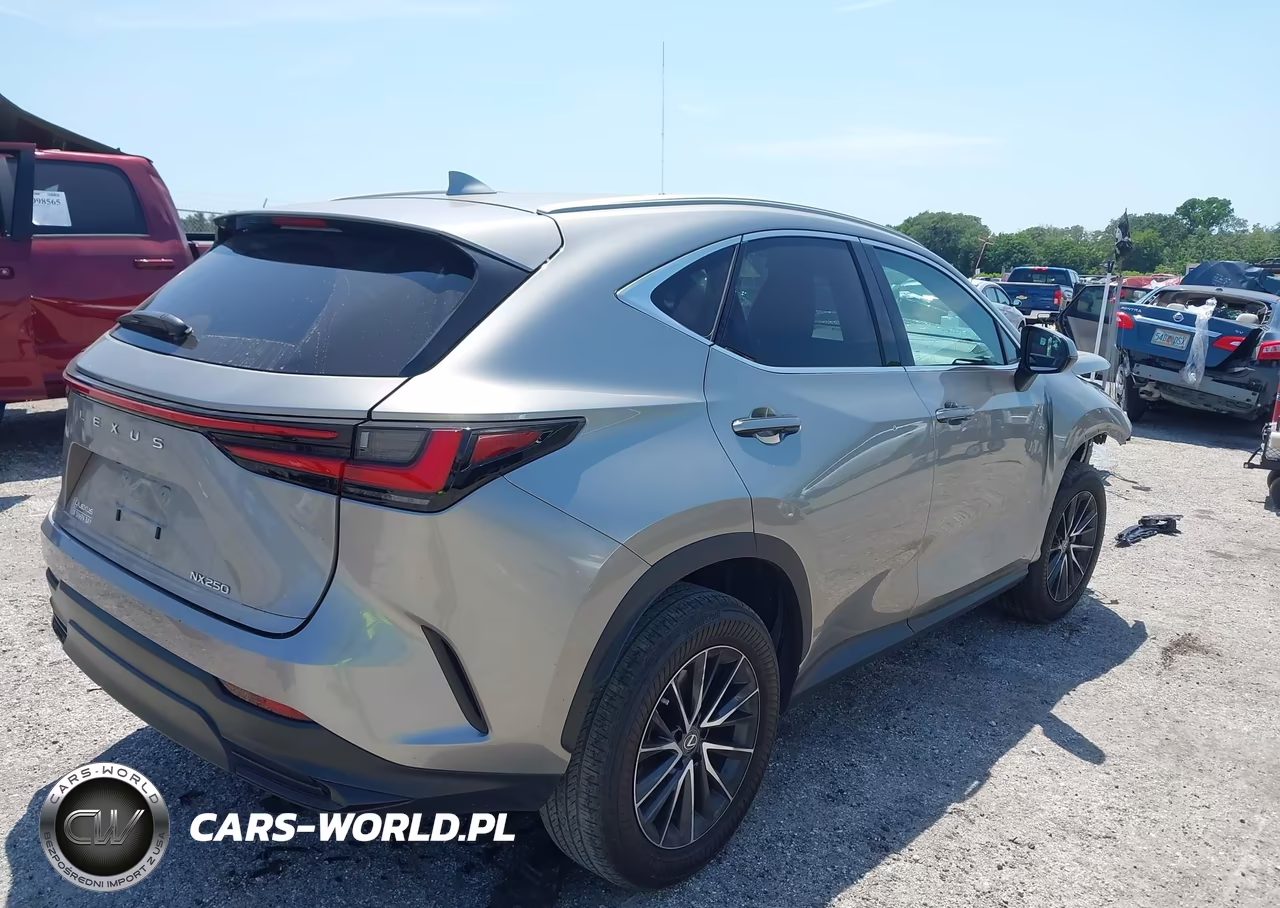 2023 Lexus Nx 250 VIN:2T2ADCAZXPC005001 - 4