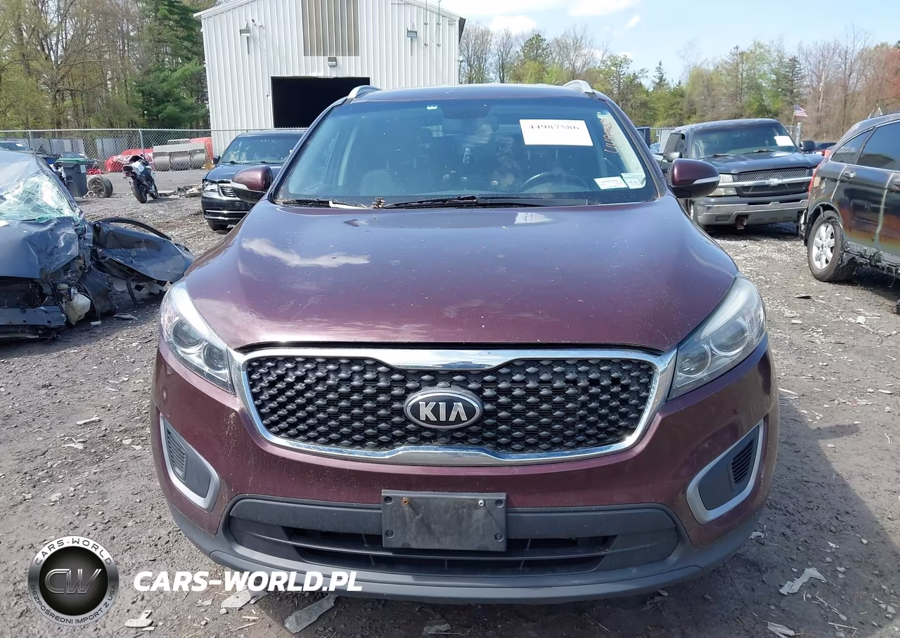 2016 Kia Sorento 3.3L Lx VIN:5XYPGDA57GG136884 - 12