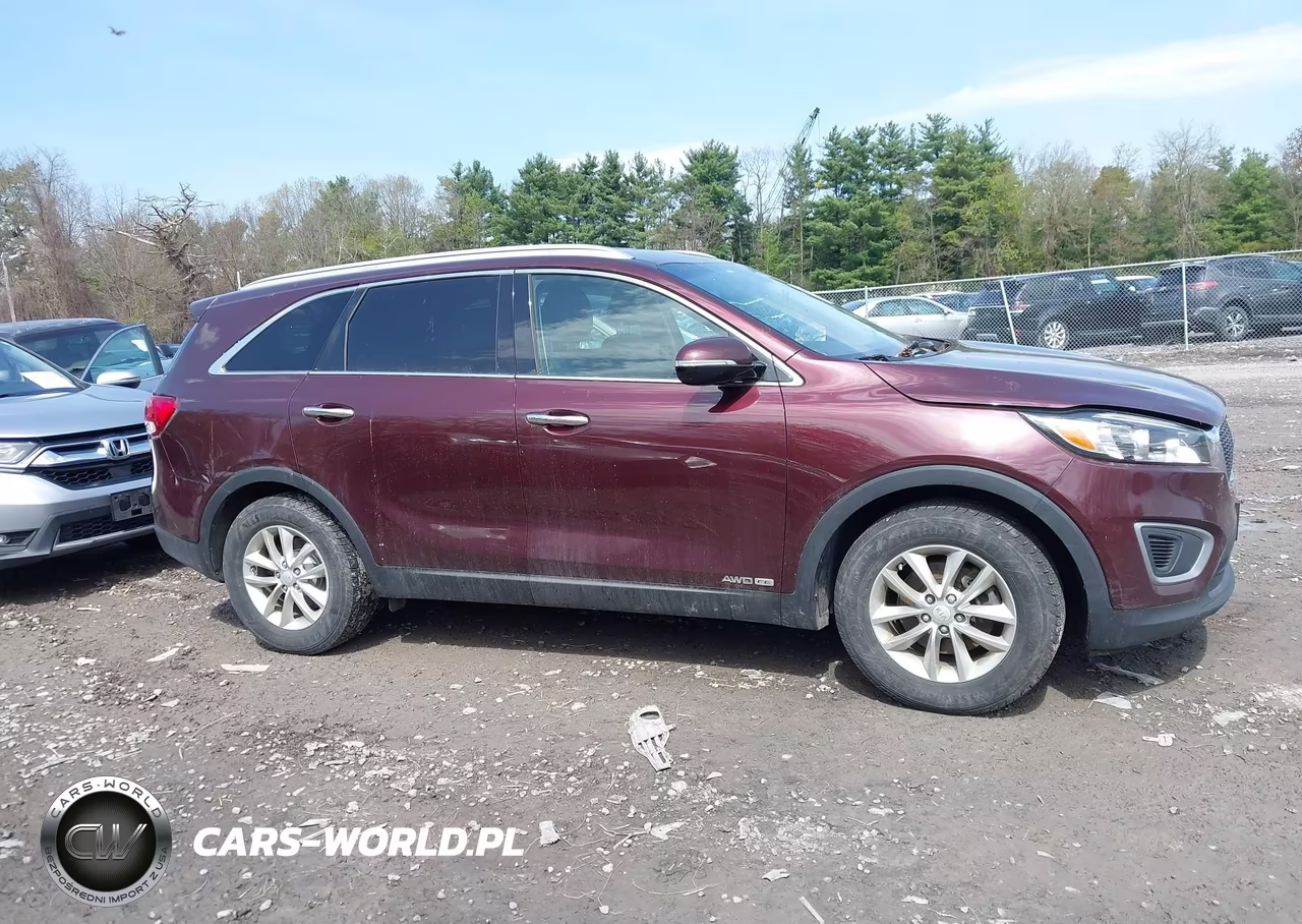 2016 Kia Sorento 3.3L Lx VIN:5XYPGDA57GG136884 - 13