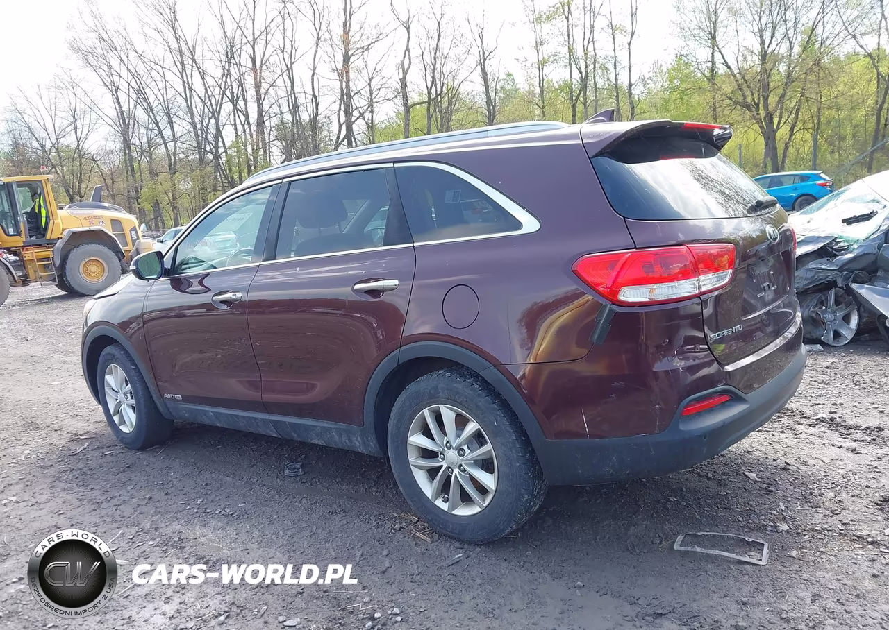 2016 Kia Sorento 3.3L Lx VIN:5XYPGDA57GG136884 - 14