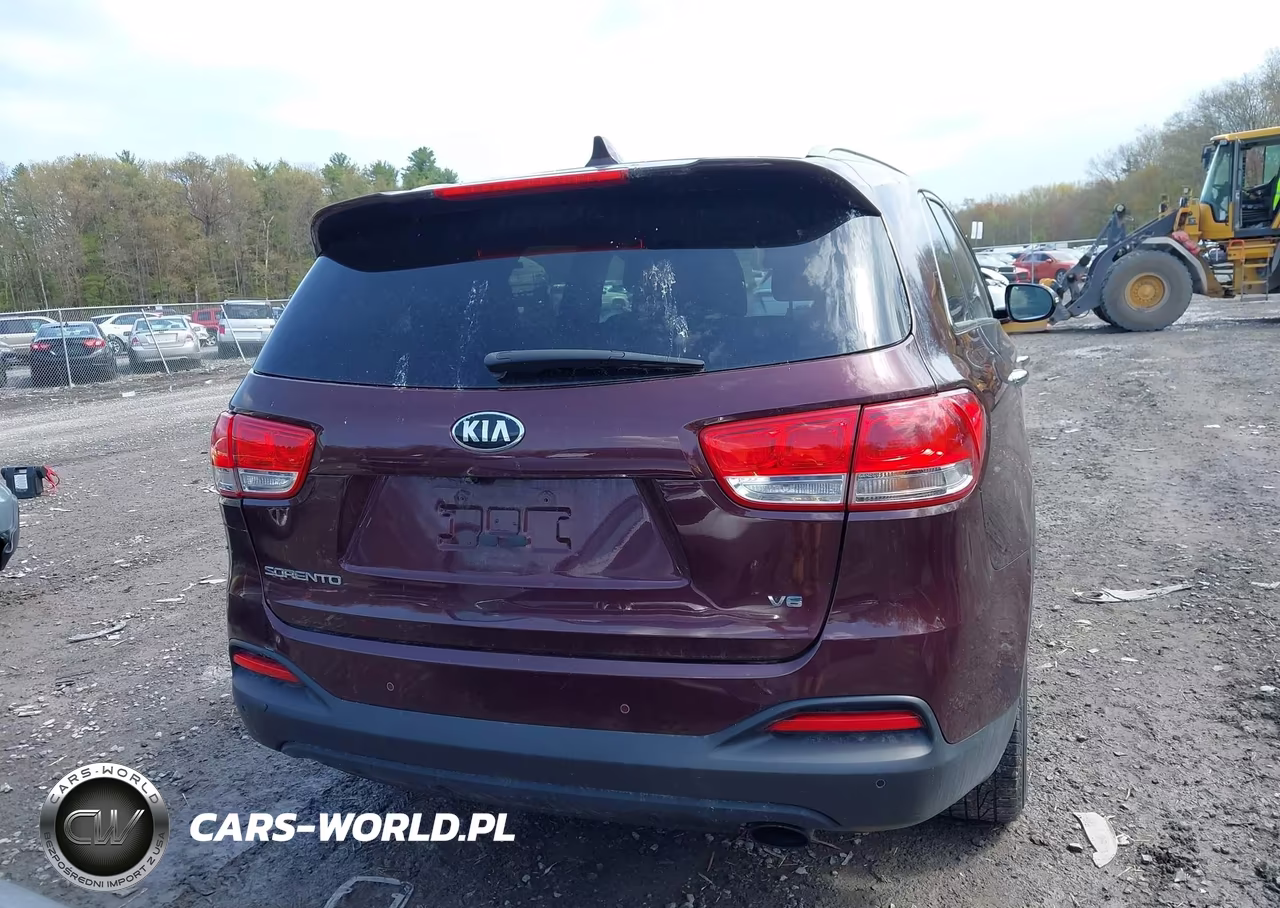 2016 Kia Sorento 3.3L Lx VIN:5XYPGDA57GG136884 - 16