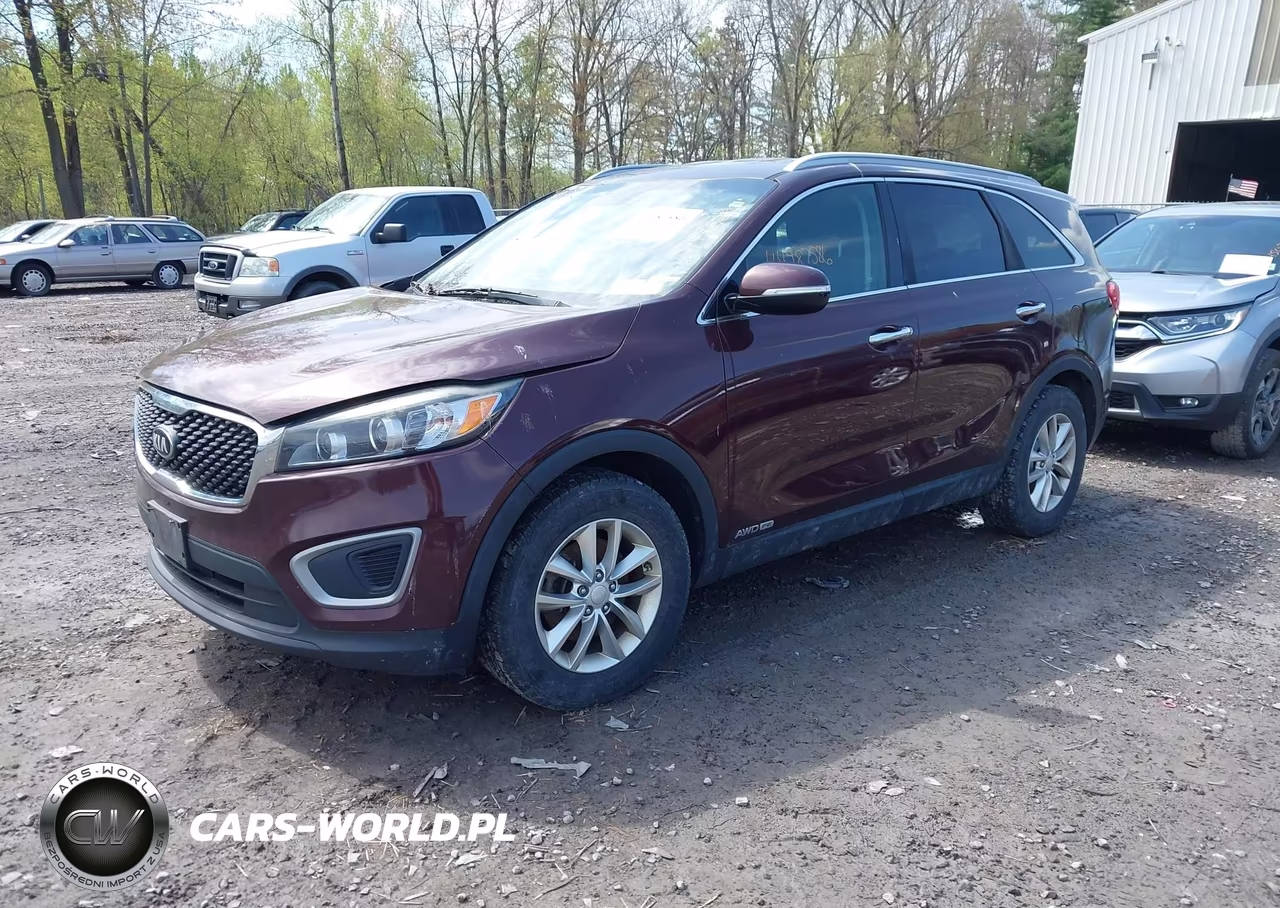 2016 Kia Sorento 3.3L Lx VIN:5XYPGDA57GG136884 - 2