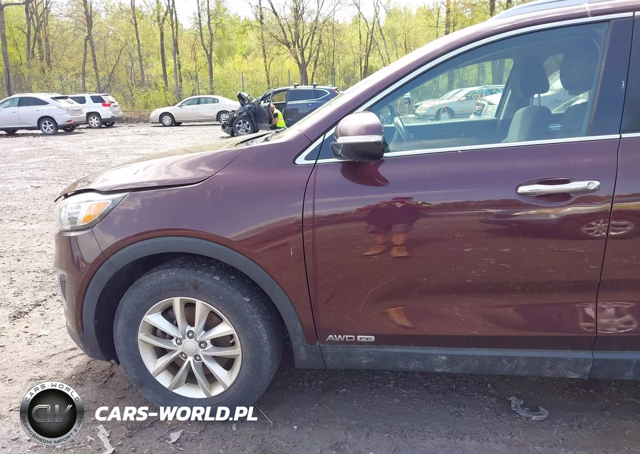 2016 Kia Sorento 3.3L Lx VIN:5XYPGDA57GG136884 - 6